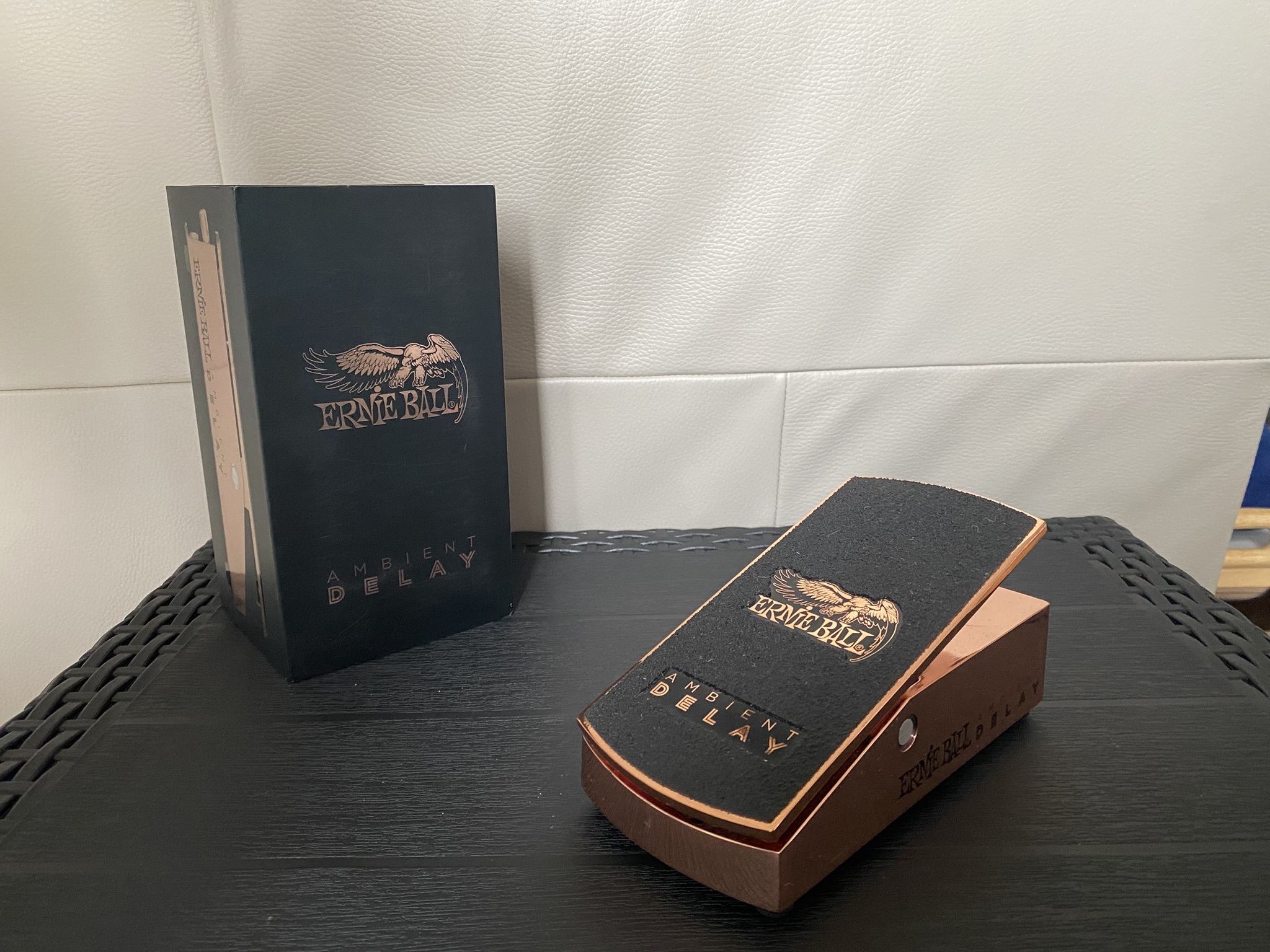 ERNIE BALL Ambient Delay 6184