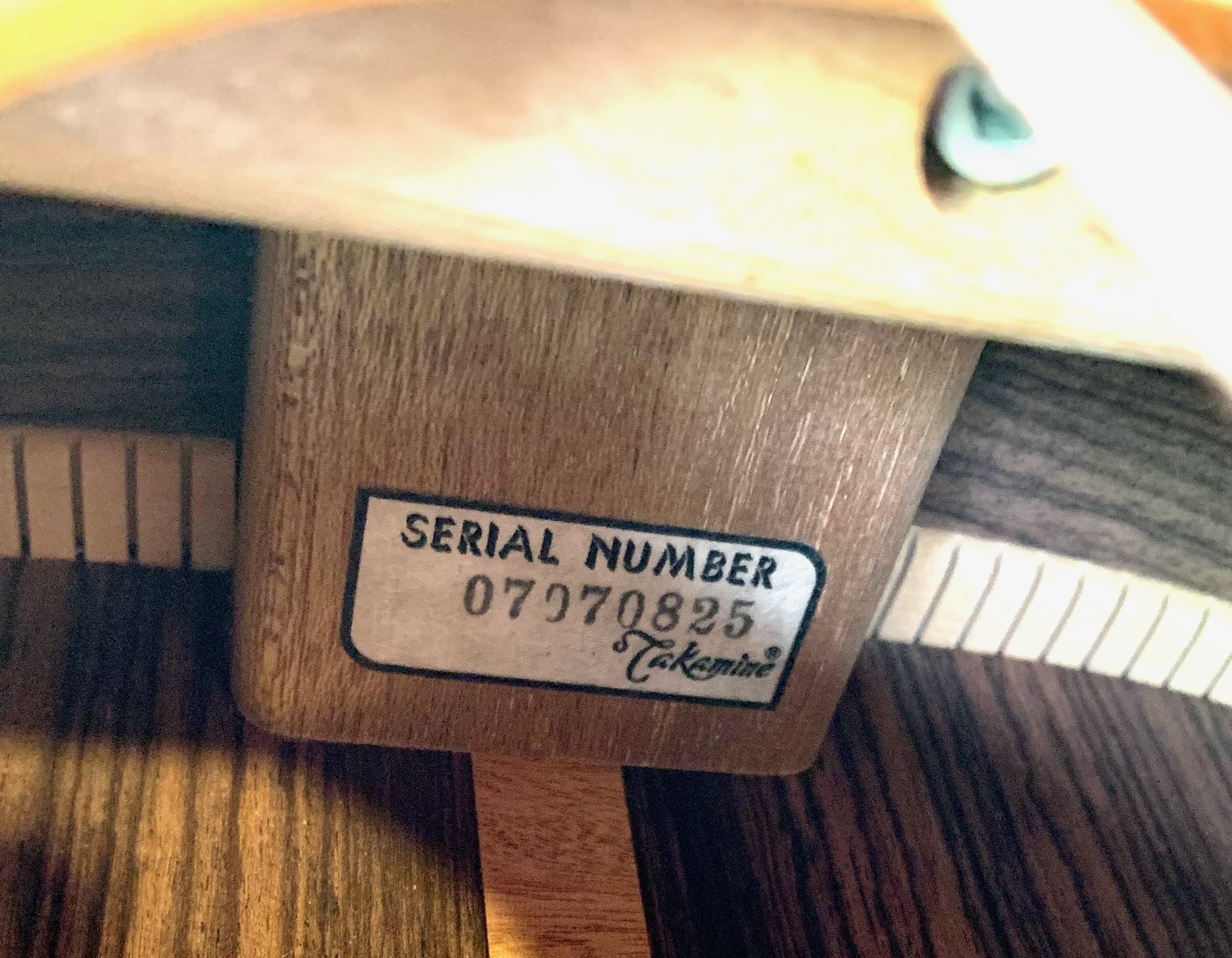 Takamine EF360SC (46368)