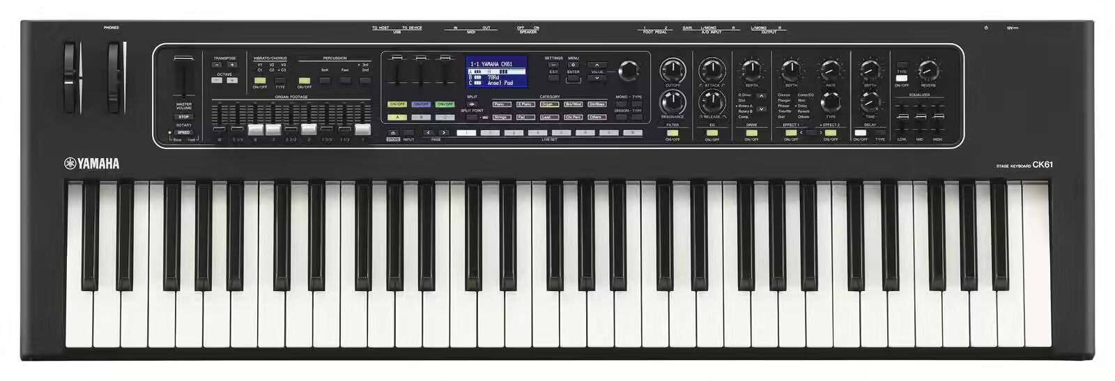 YAMAHA+CK61.JPG