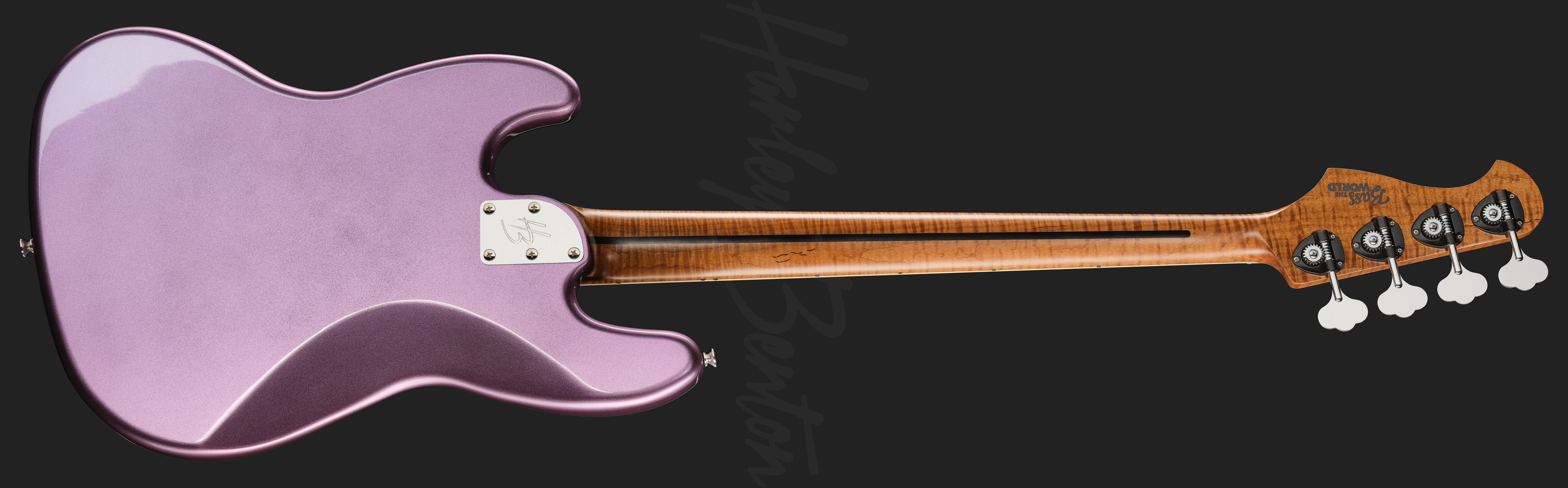 MV-4JB Plus BassTheWorldBACK