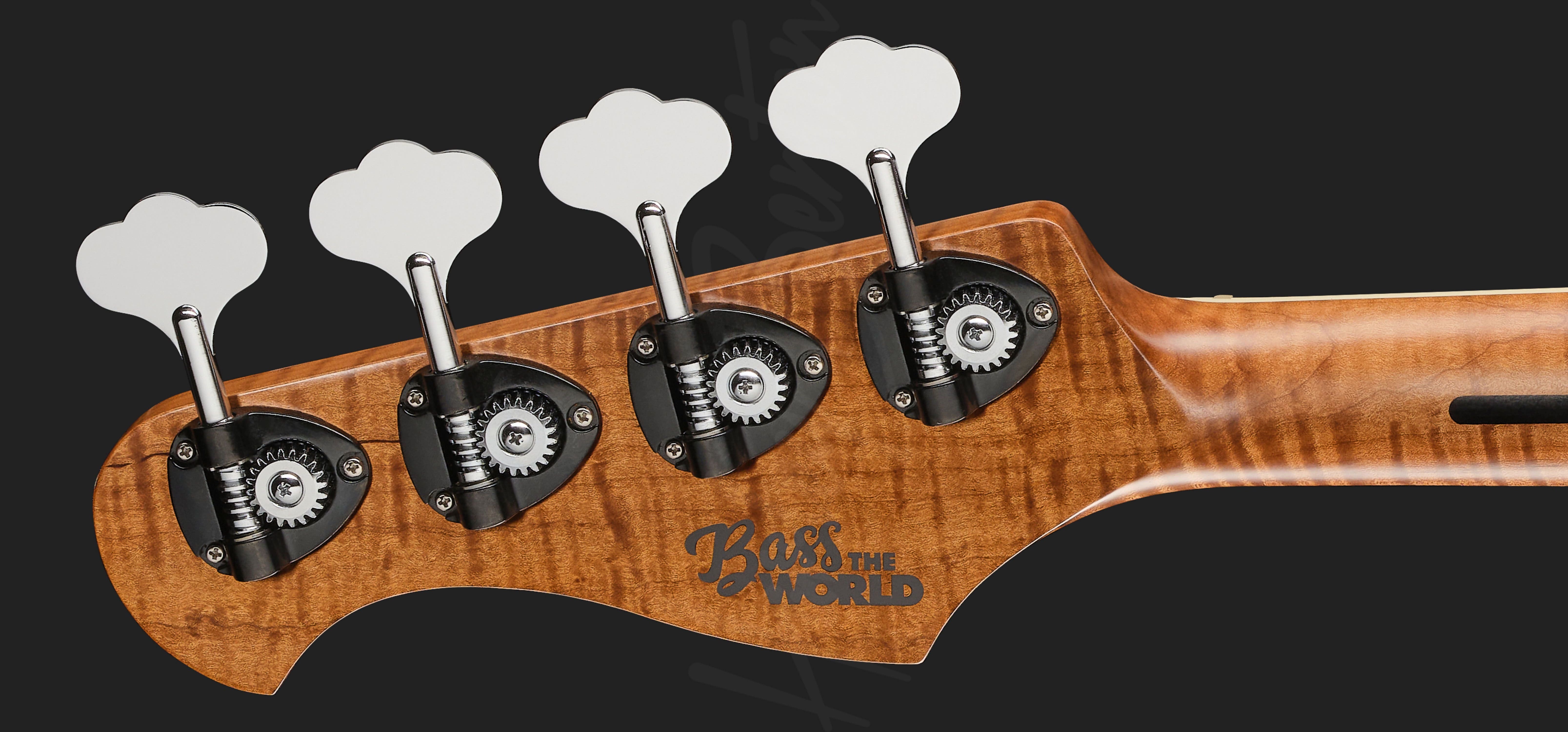 MV-4JB Plus BassTheWorldBackHead