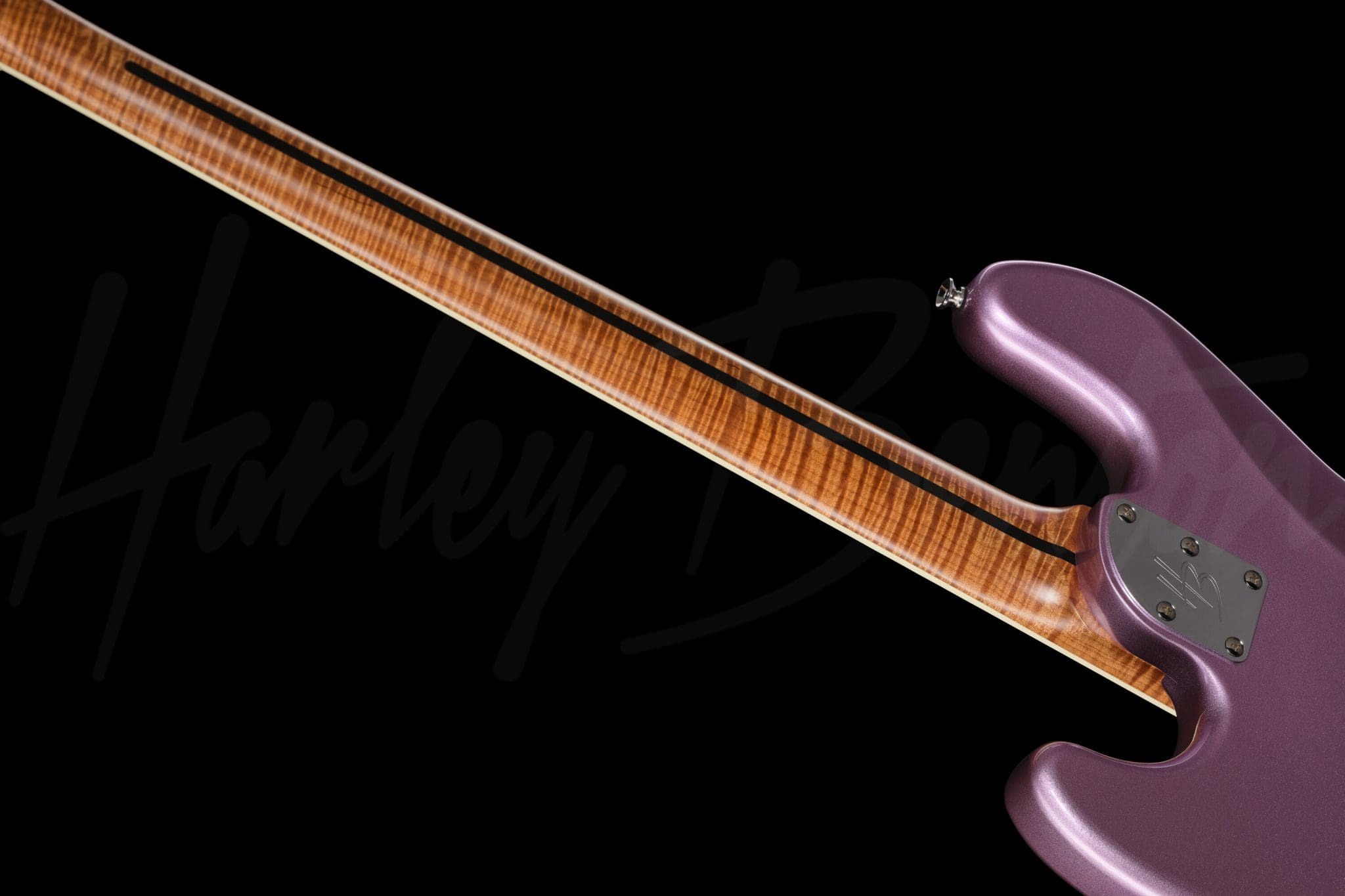 MV-4JB Plus BassTheWorldNeck