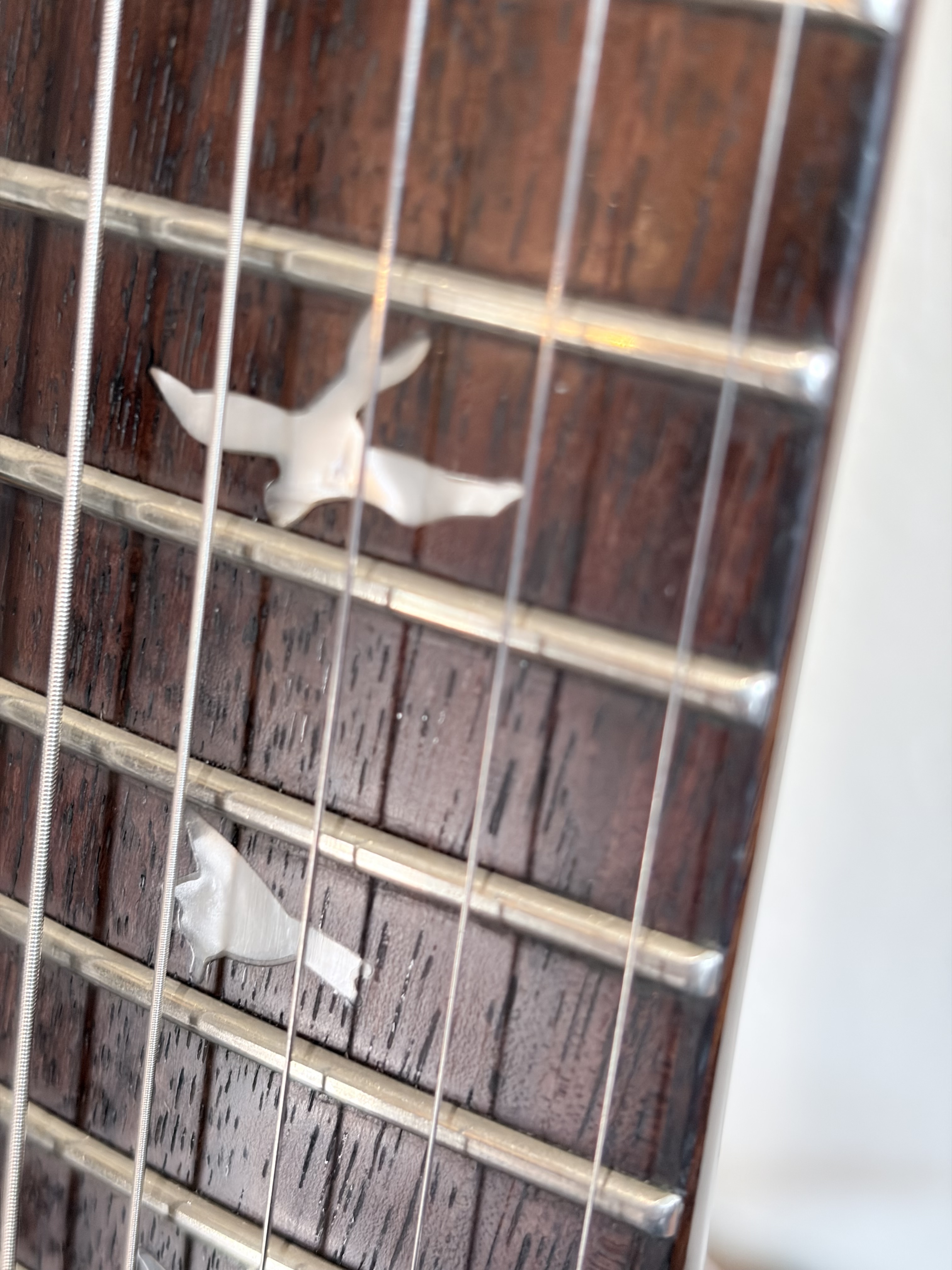 PRS SE Santana (2017) (31432)