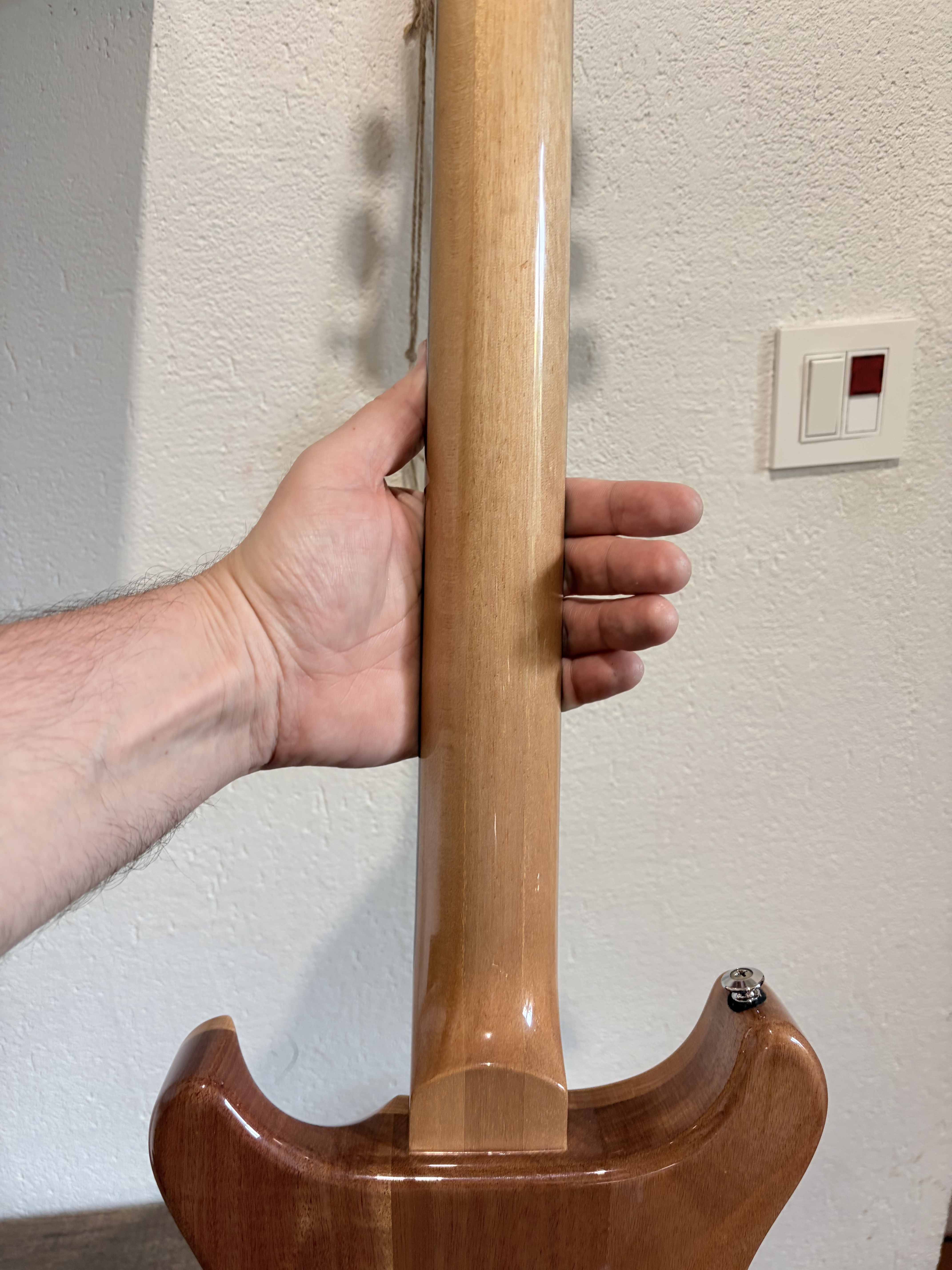 PRS SE Santana (2017) (95308)