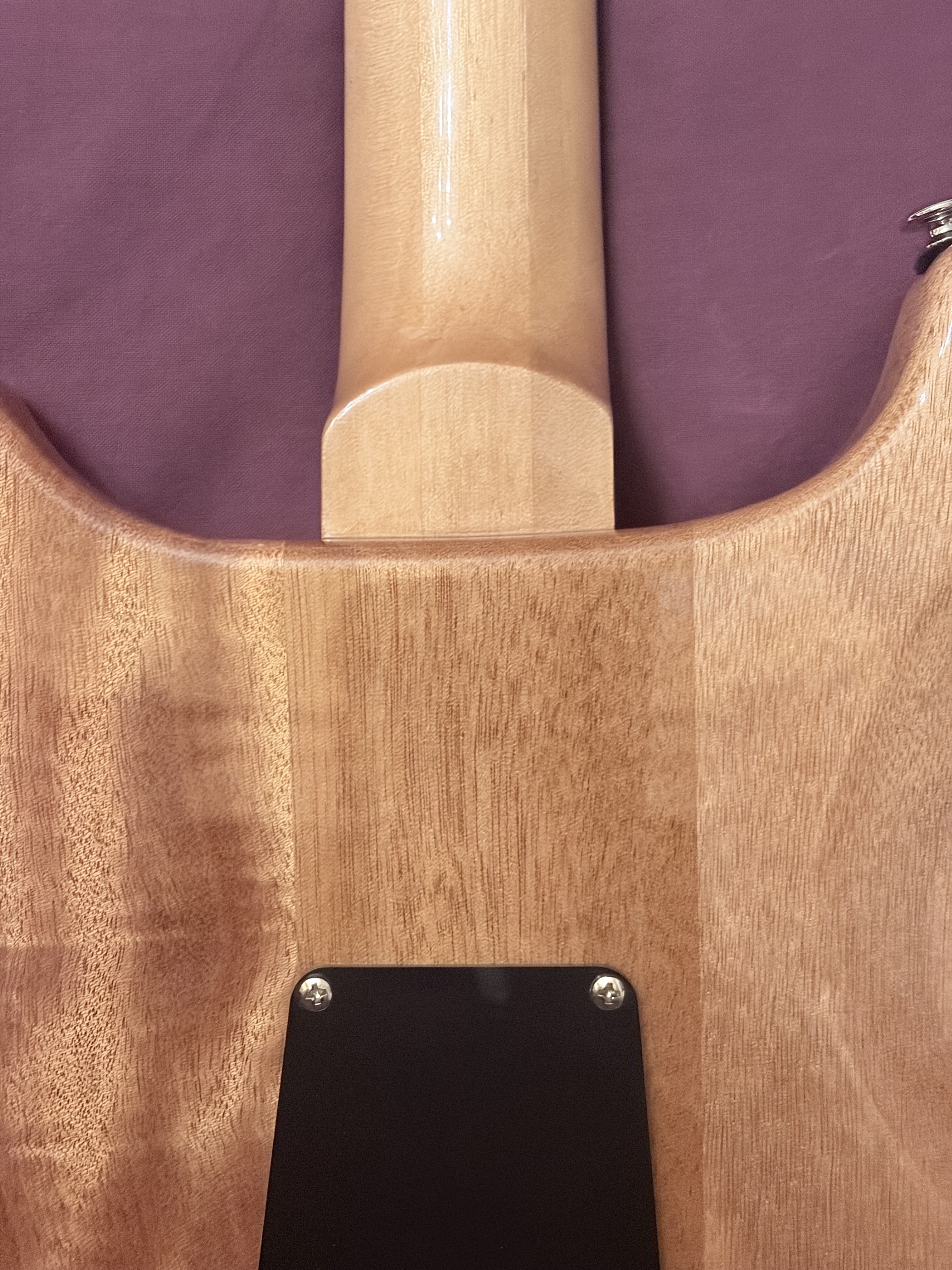 PRS SE Santana (2017) (36848)