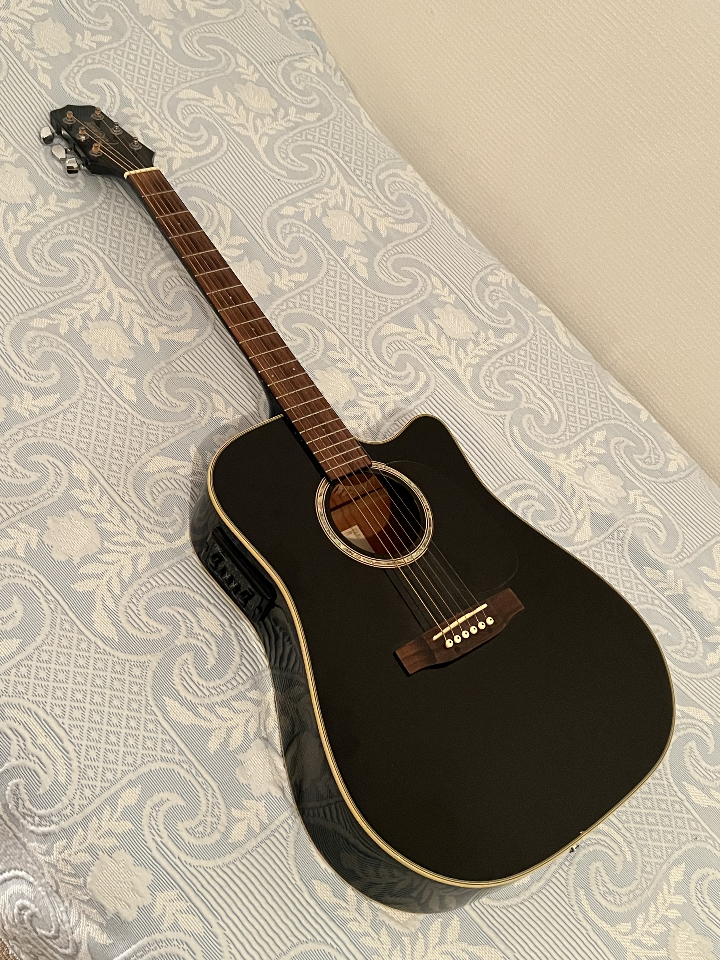 Vends takamine eg-531-sc
