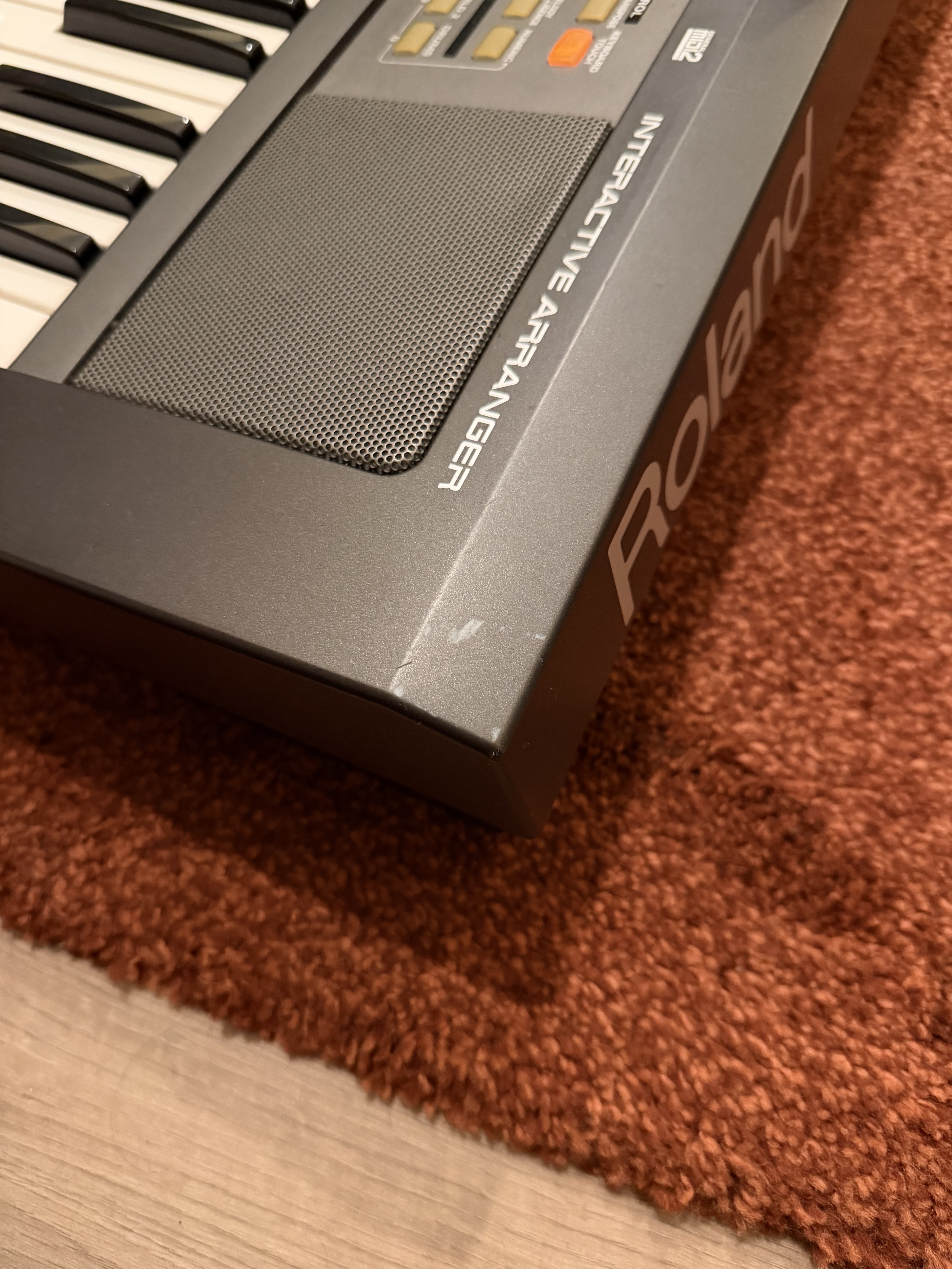Roland E-09 (12321)