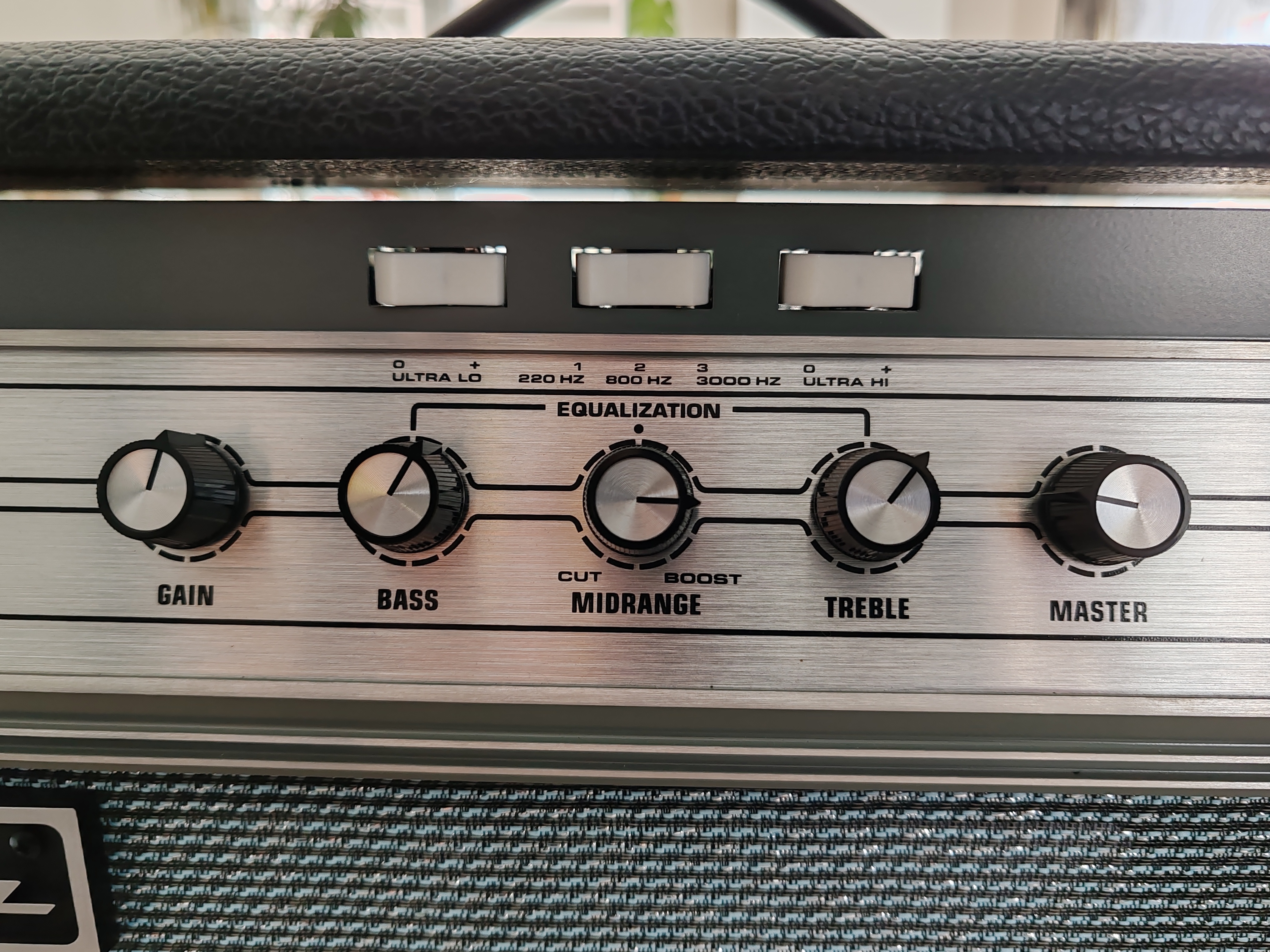 Ampeg V-4B (29119)