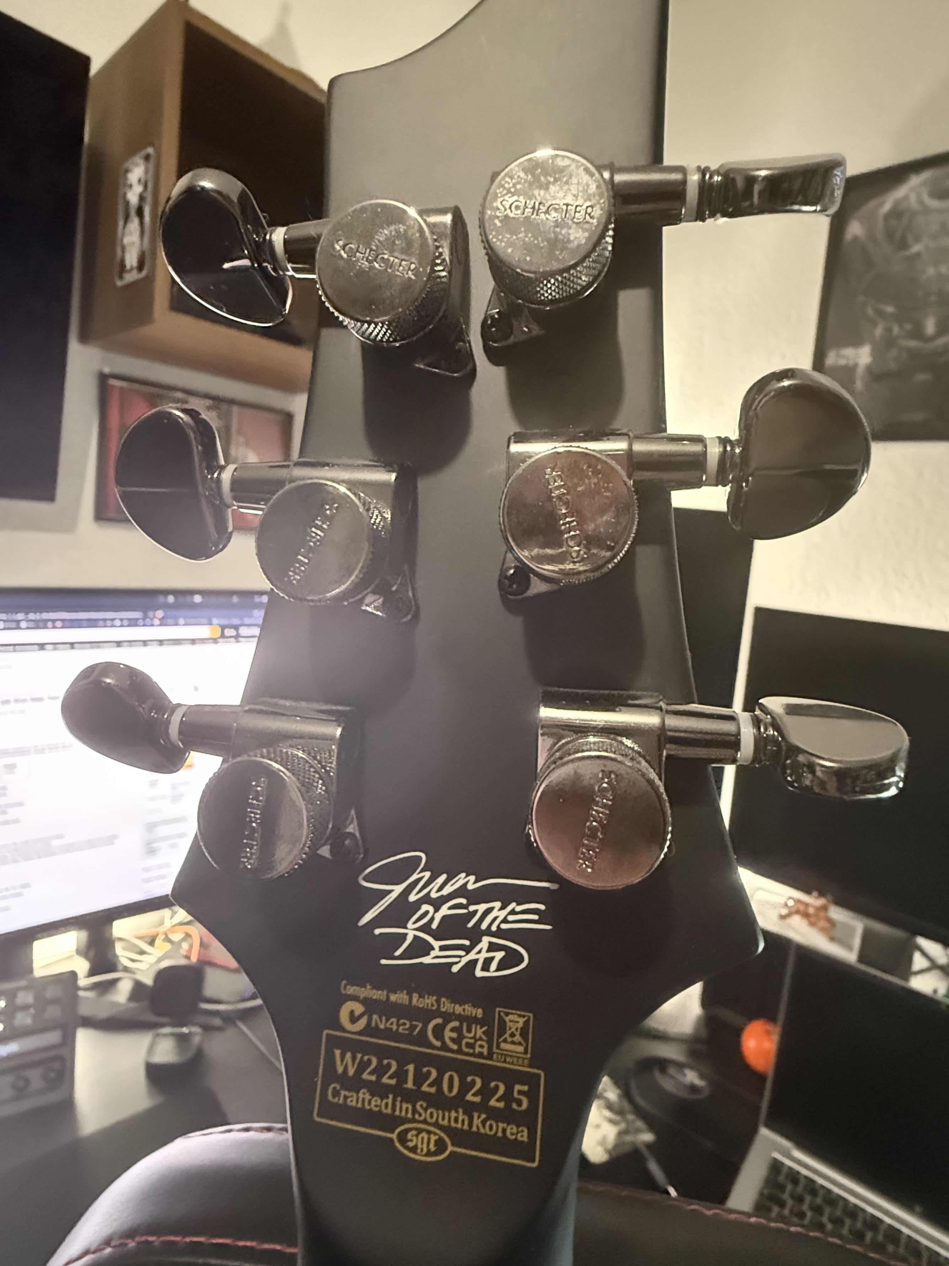 Vends Schecter Juan of the Dead V-1 Excellent état