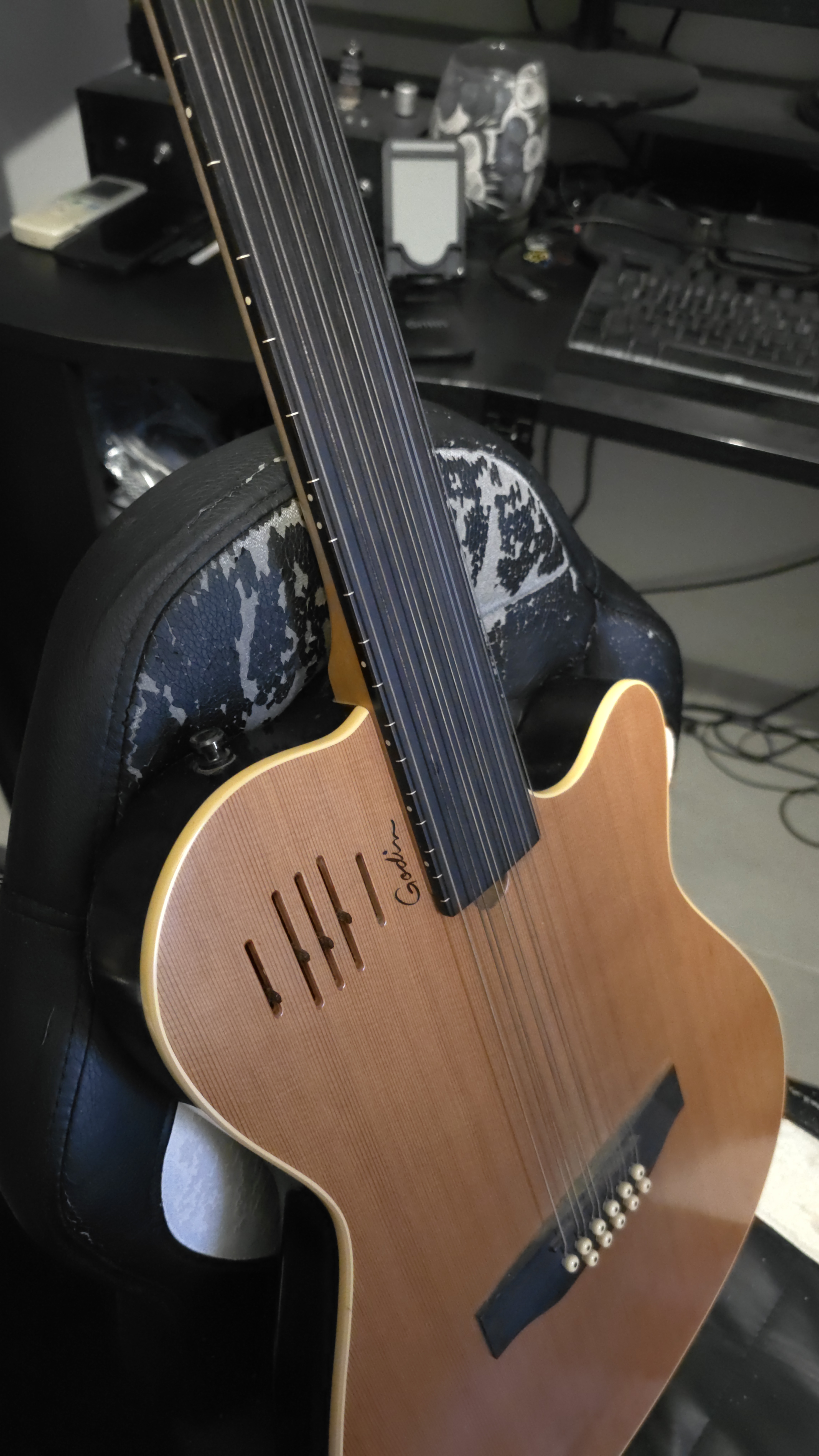 Vends Godin A11 Glissentar