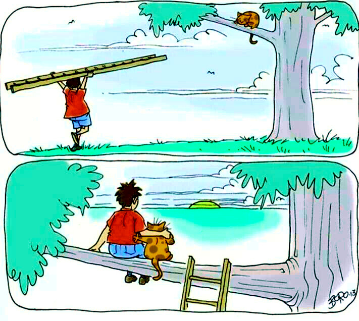 6813578.jpg 6813578.jpg