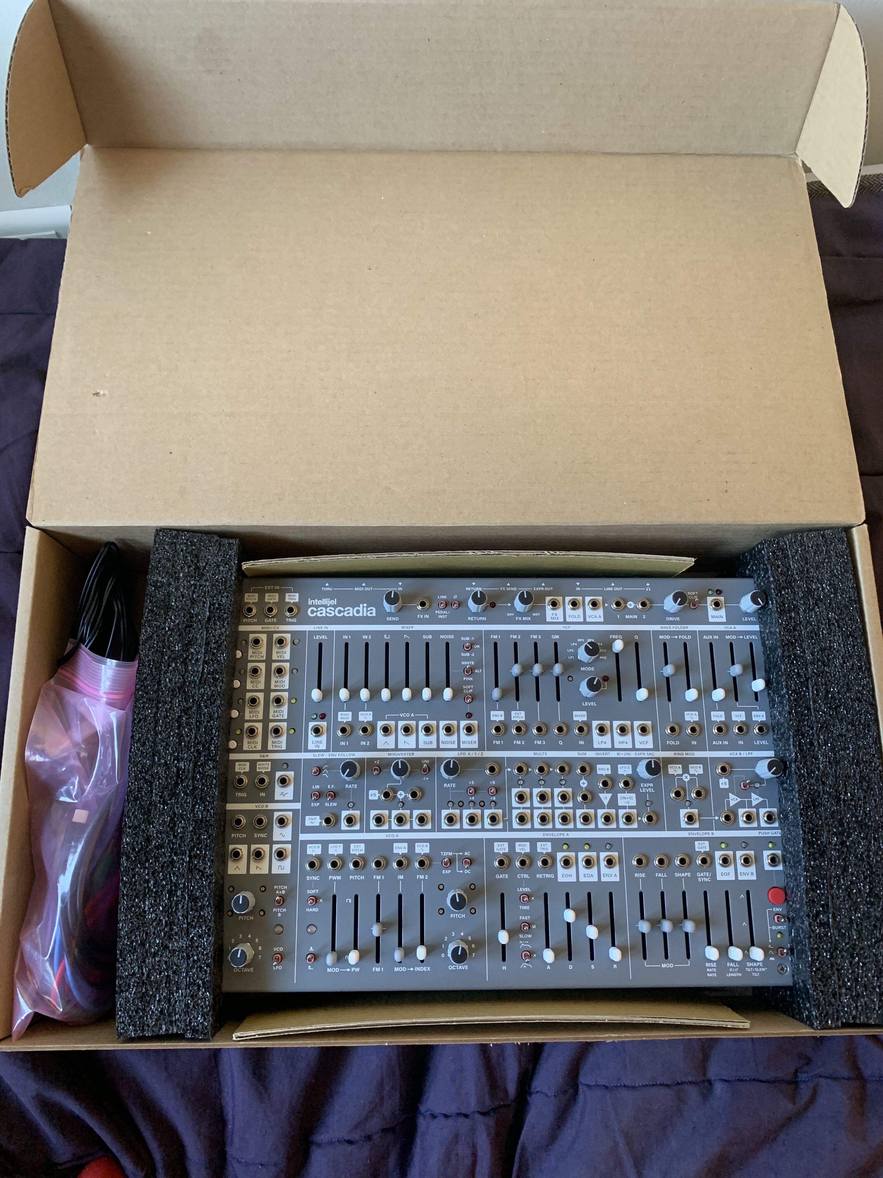 Intellijel Designs Cascadia (5624)
