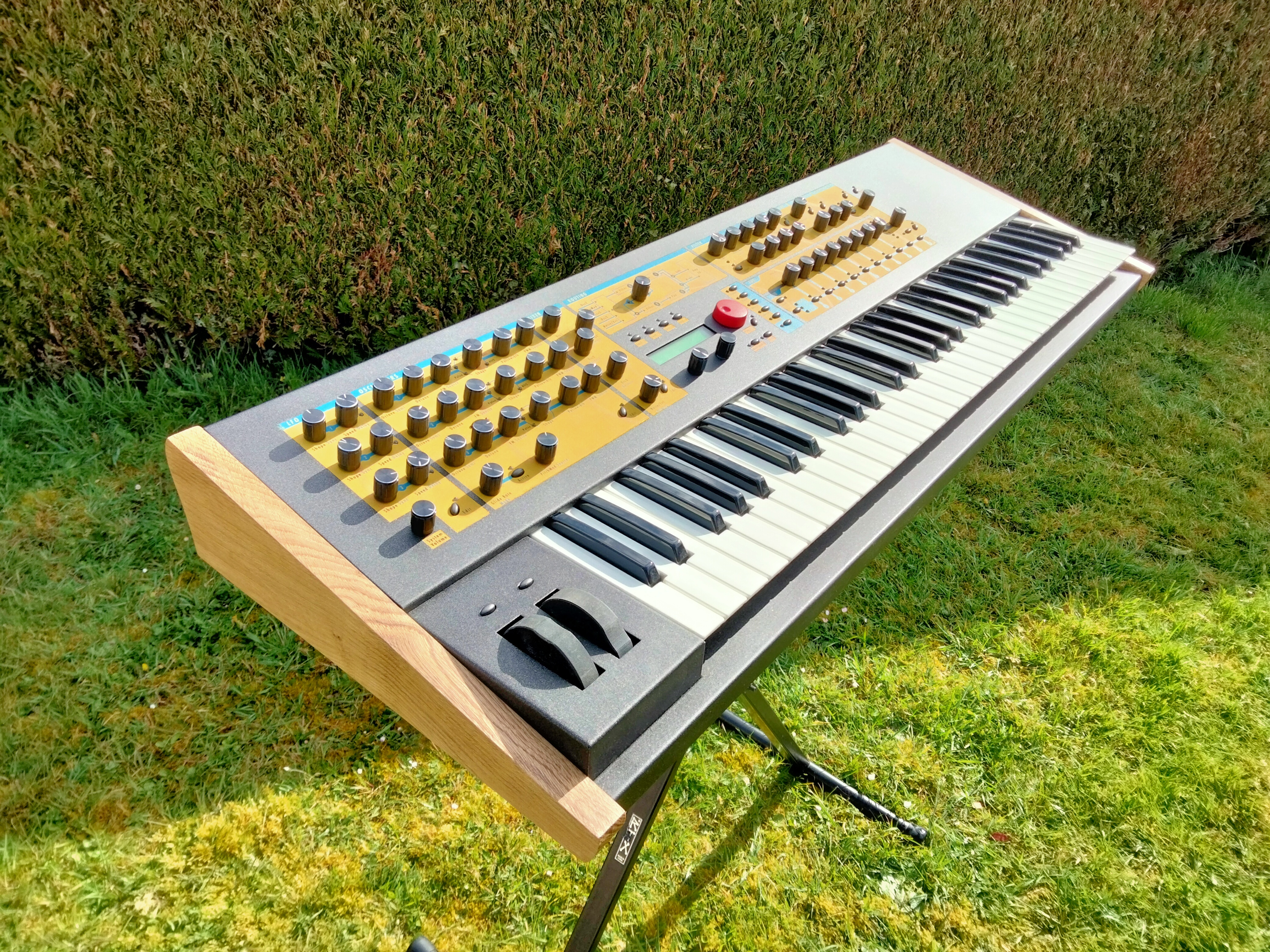 Waldorf Q (56653)
