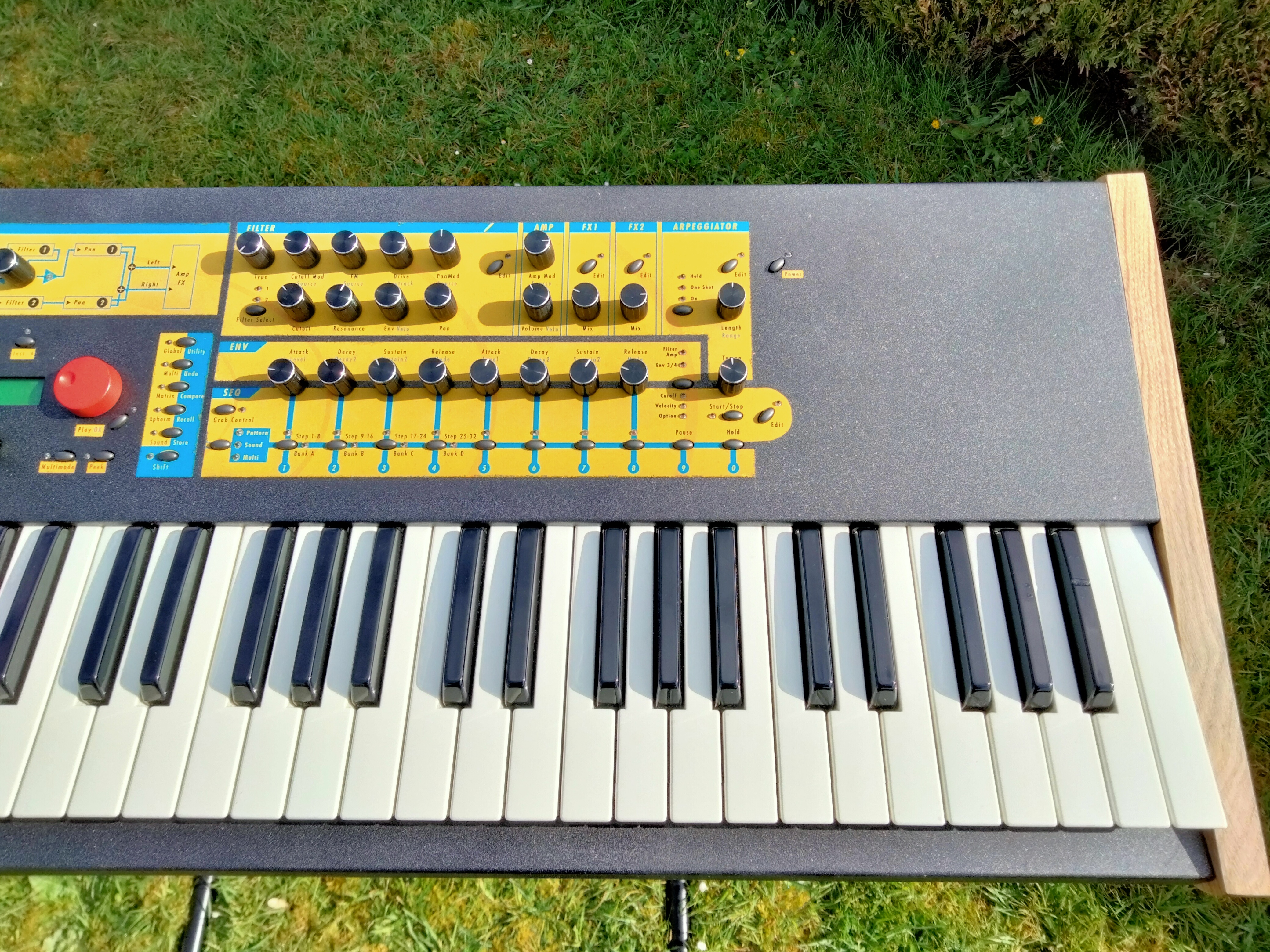 Waldorf Q (51242)