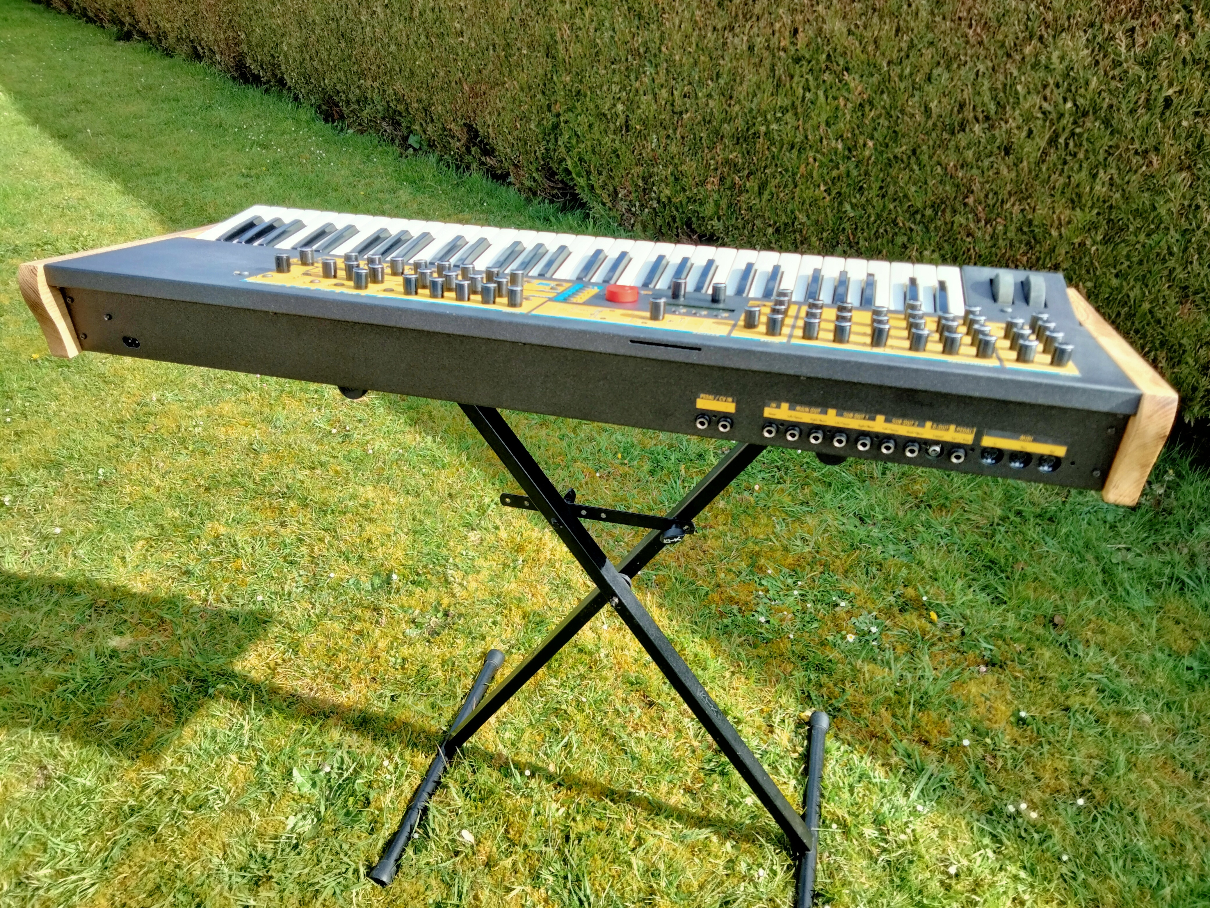 Waldorf Q (99703)