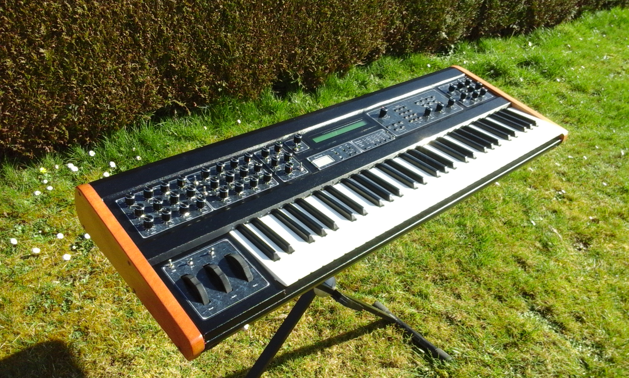 Quasimidi Cyber-6 (96057)