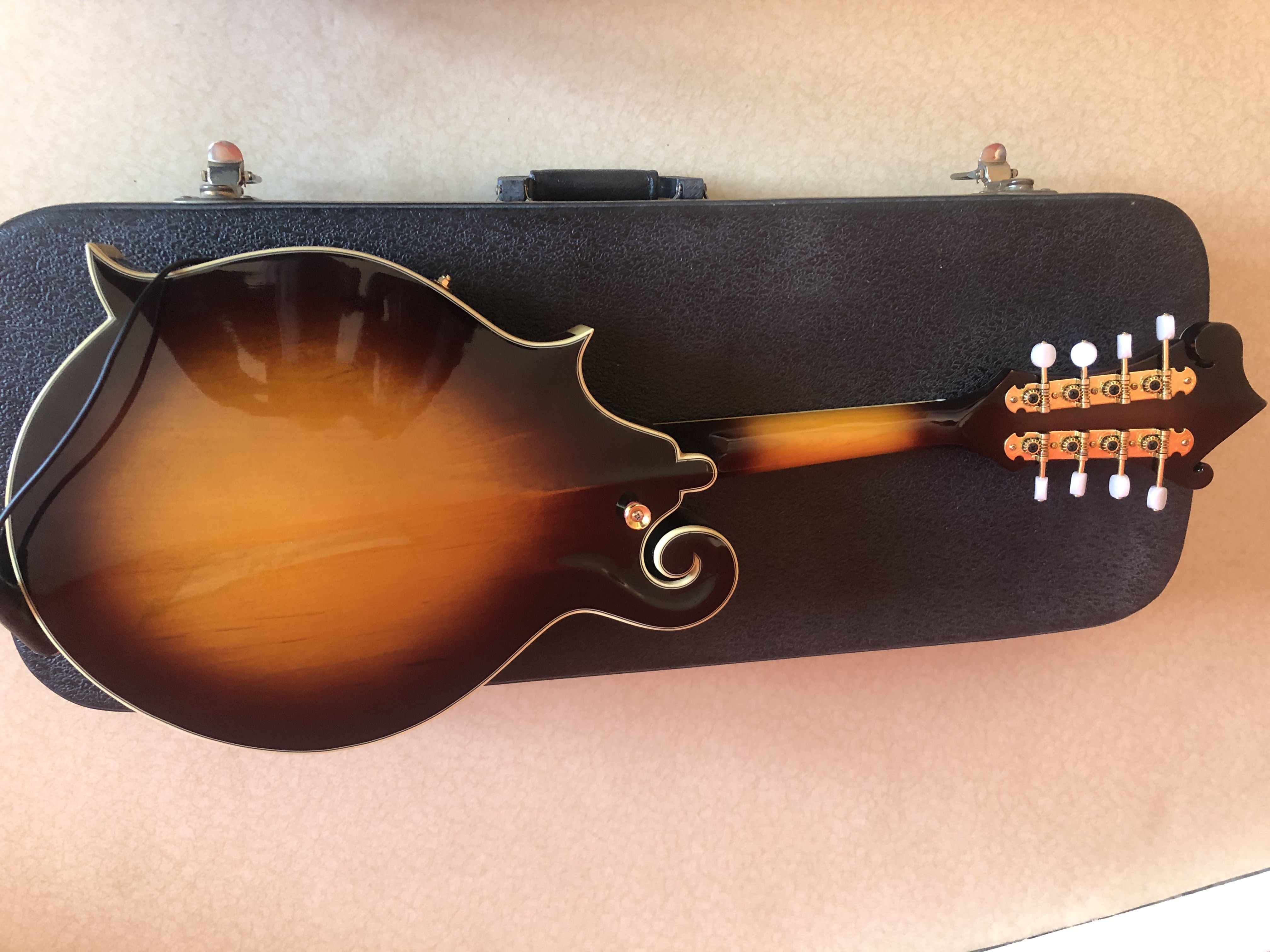 Epiphone MM-50 avec étui 