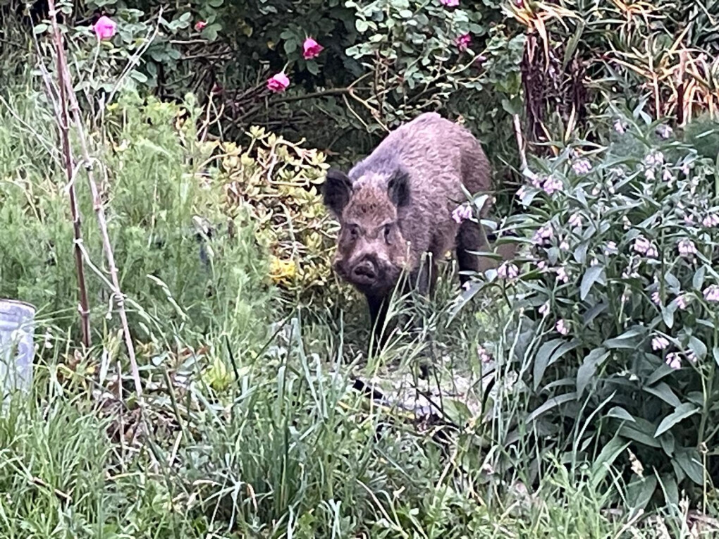 6816182.jpeg 6816182.jpeg