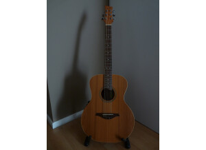 Landry Guitars Mélodie (60081)