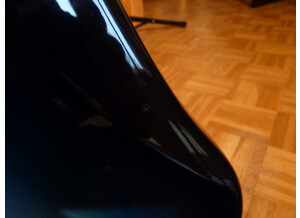 Vigier Passion (79988)