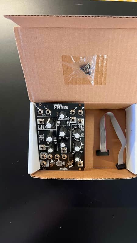 Make Noise Mimeophon