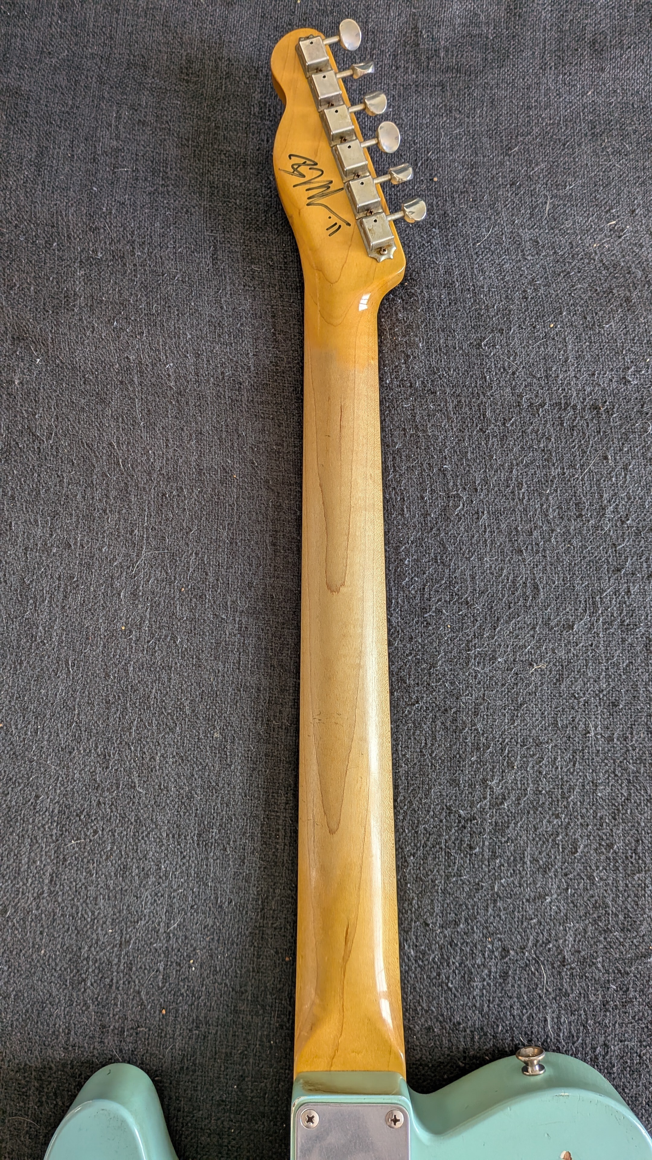 Nash Guitars T63 (83383)