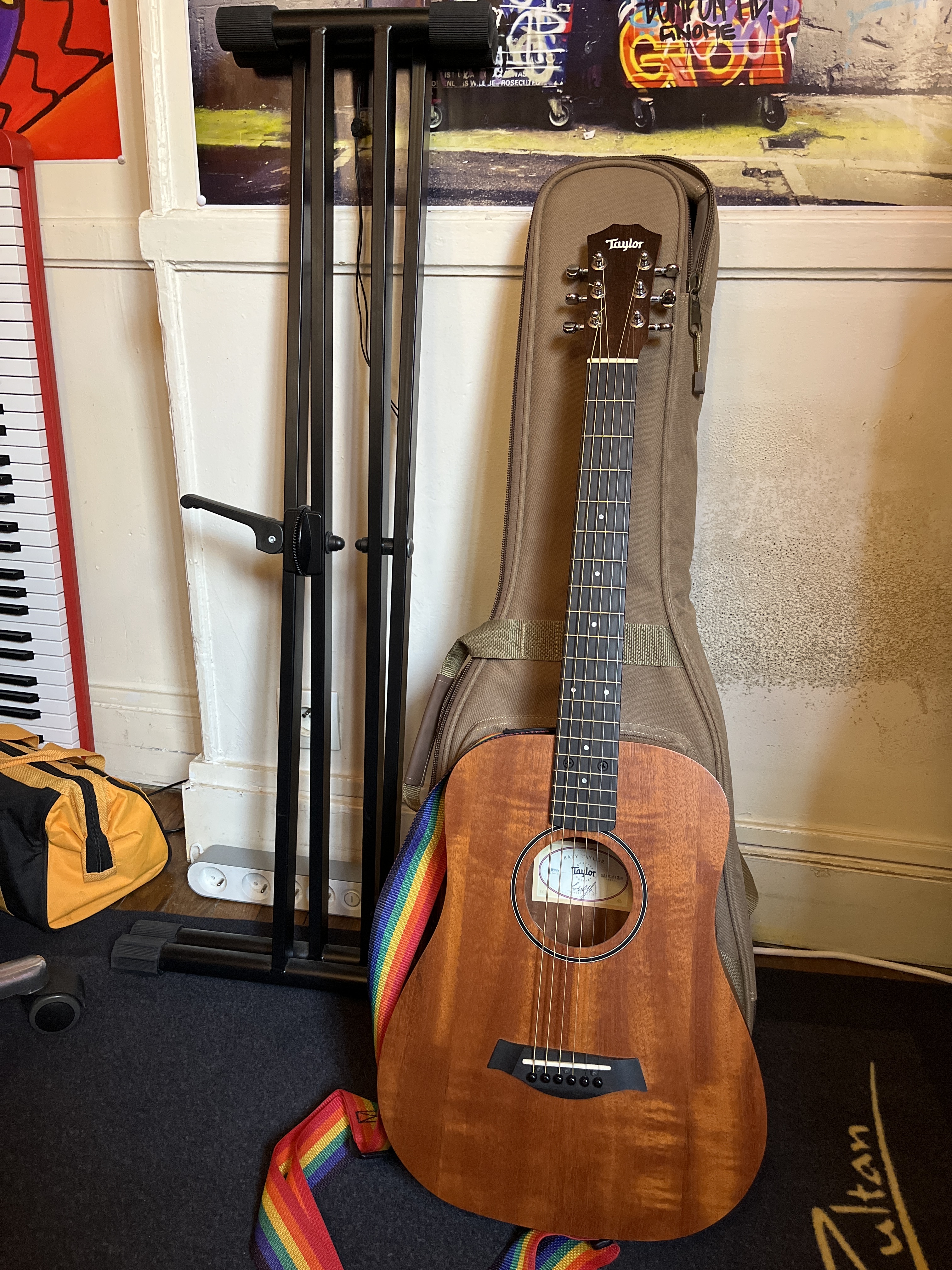 Vends guitare Taylor