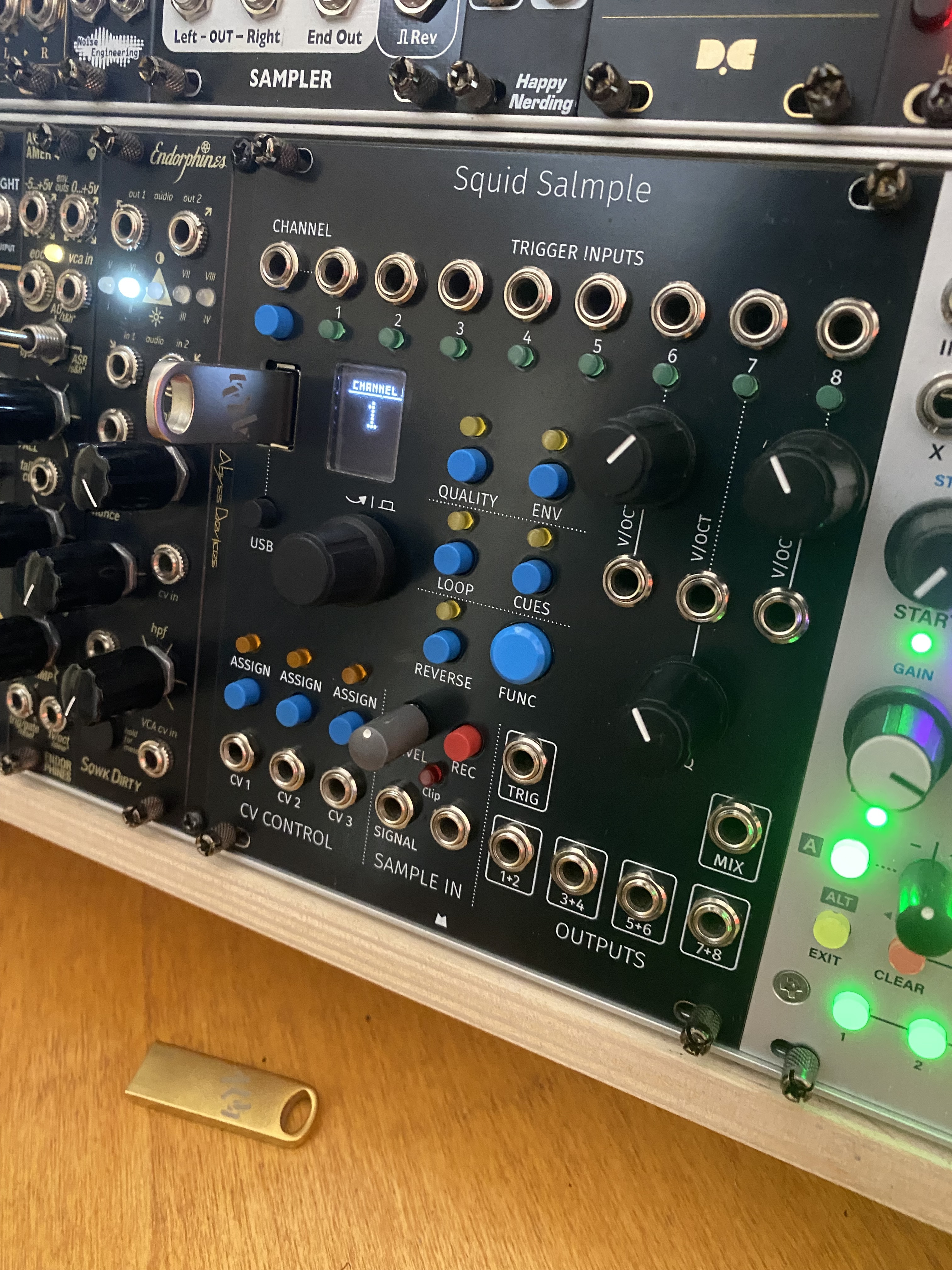 ALM Busy Circuit ALM022: Squid Salmpler (66006)