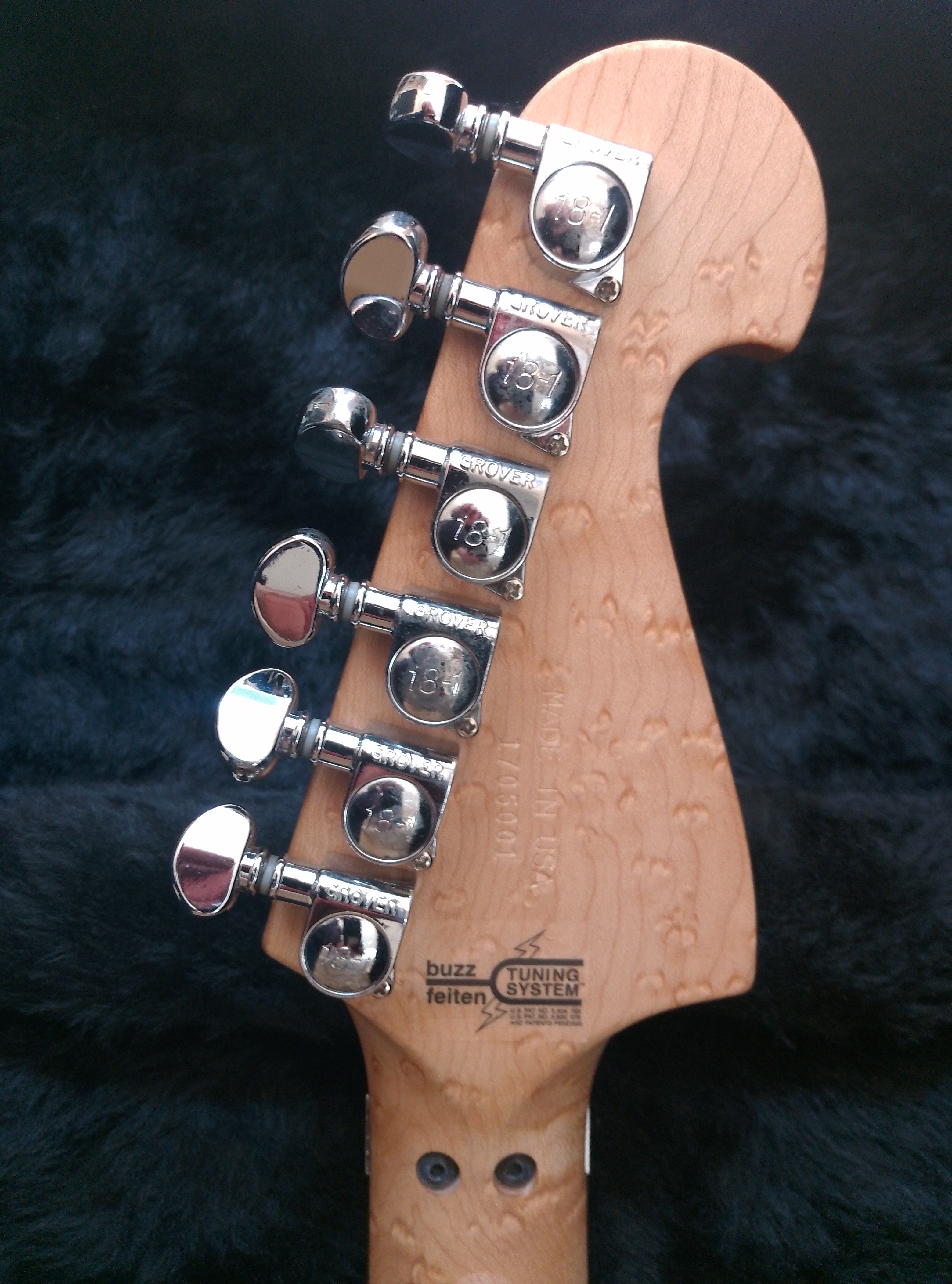 Washburn N4 Vintage (17825)