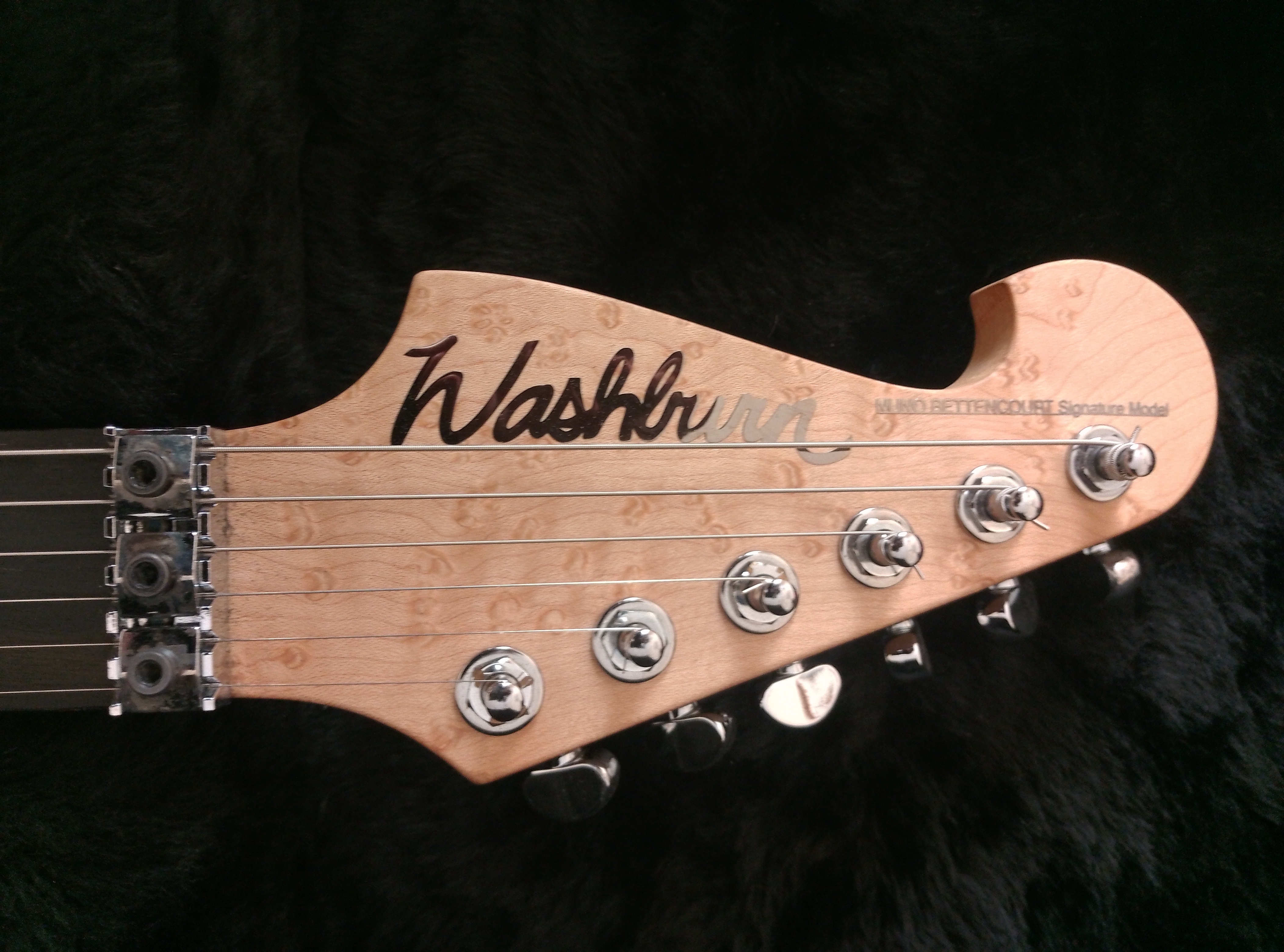 Washburn N4 Vintage (23055)