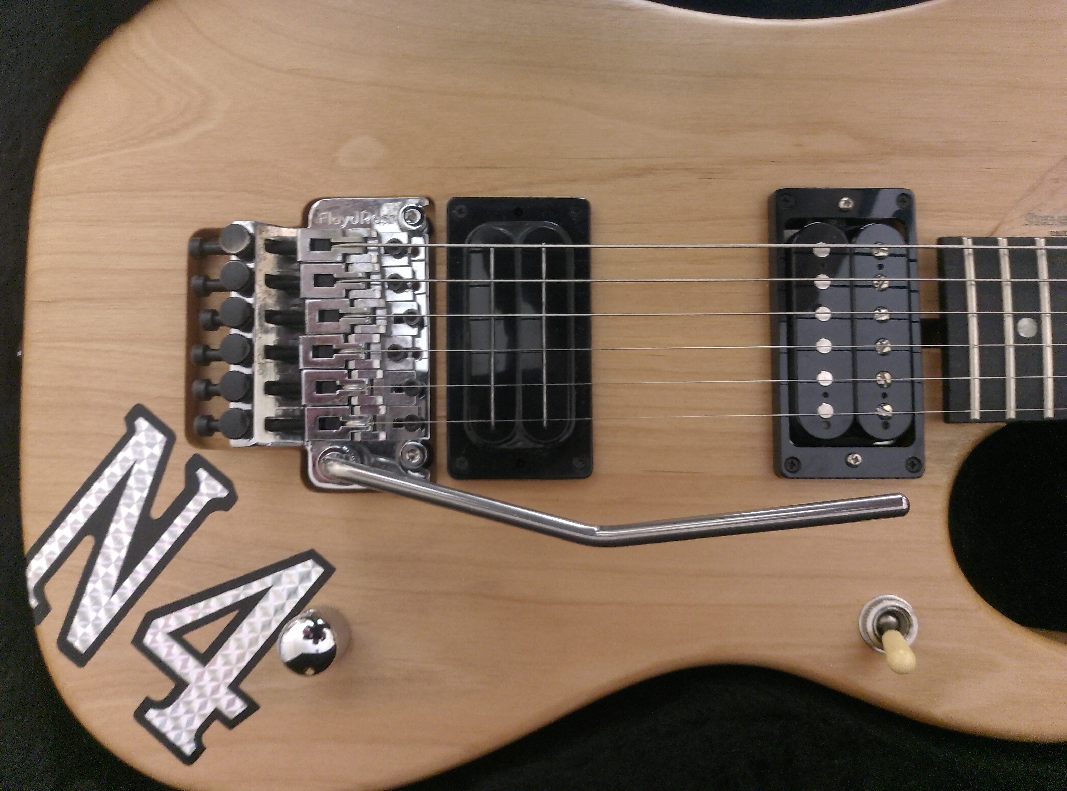 Washburn N4 Vintage (40548)