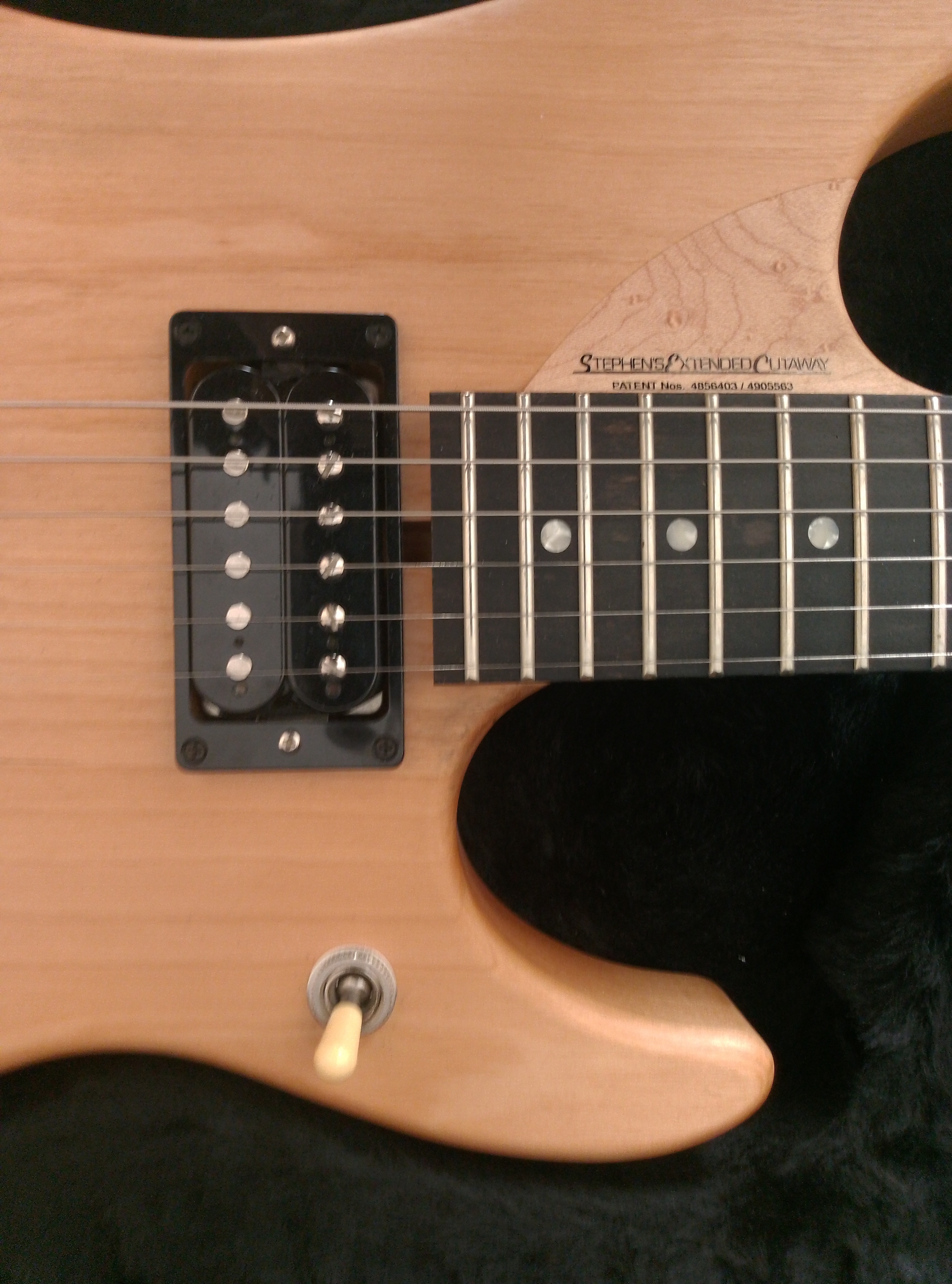 Washburn N4 Vintage (95727)