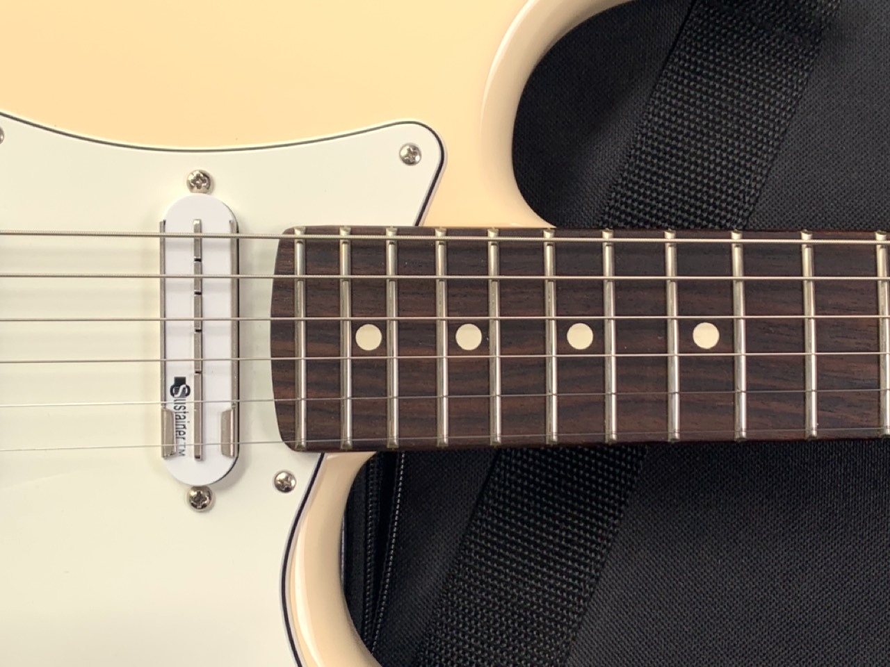 Fender EOB Sustainer Stratocaster (80493)