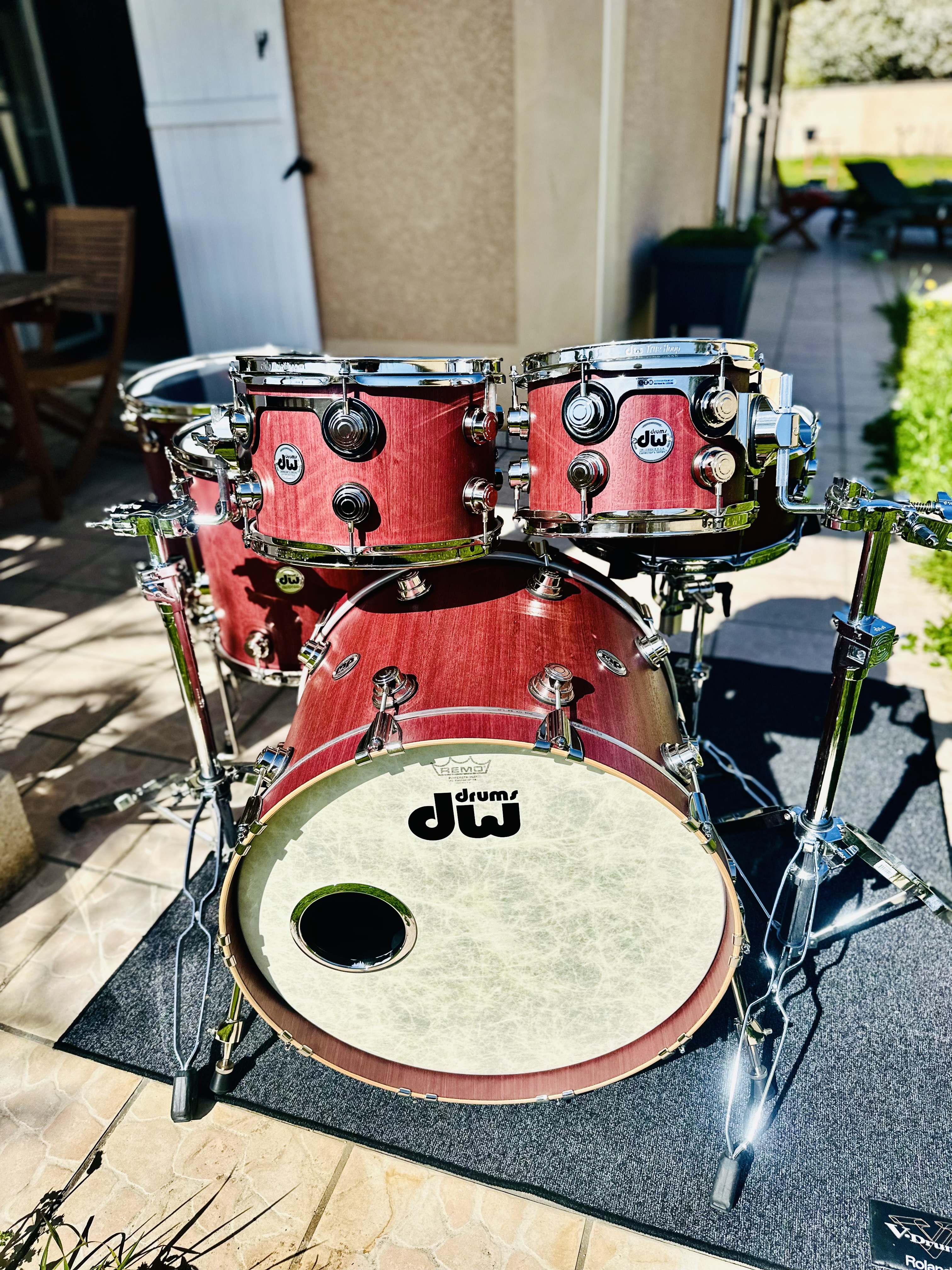 Dw collector 2025- purple core hybrid shells 