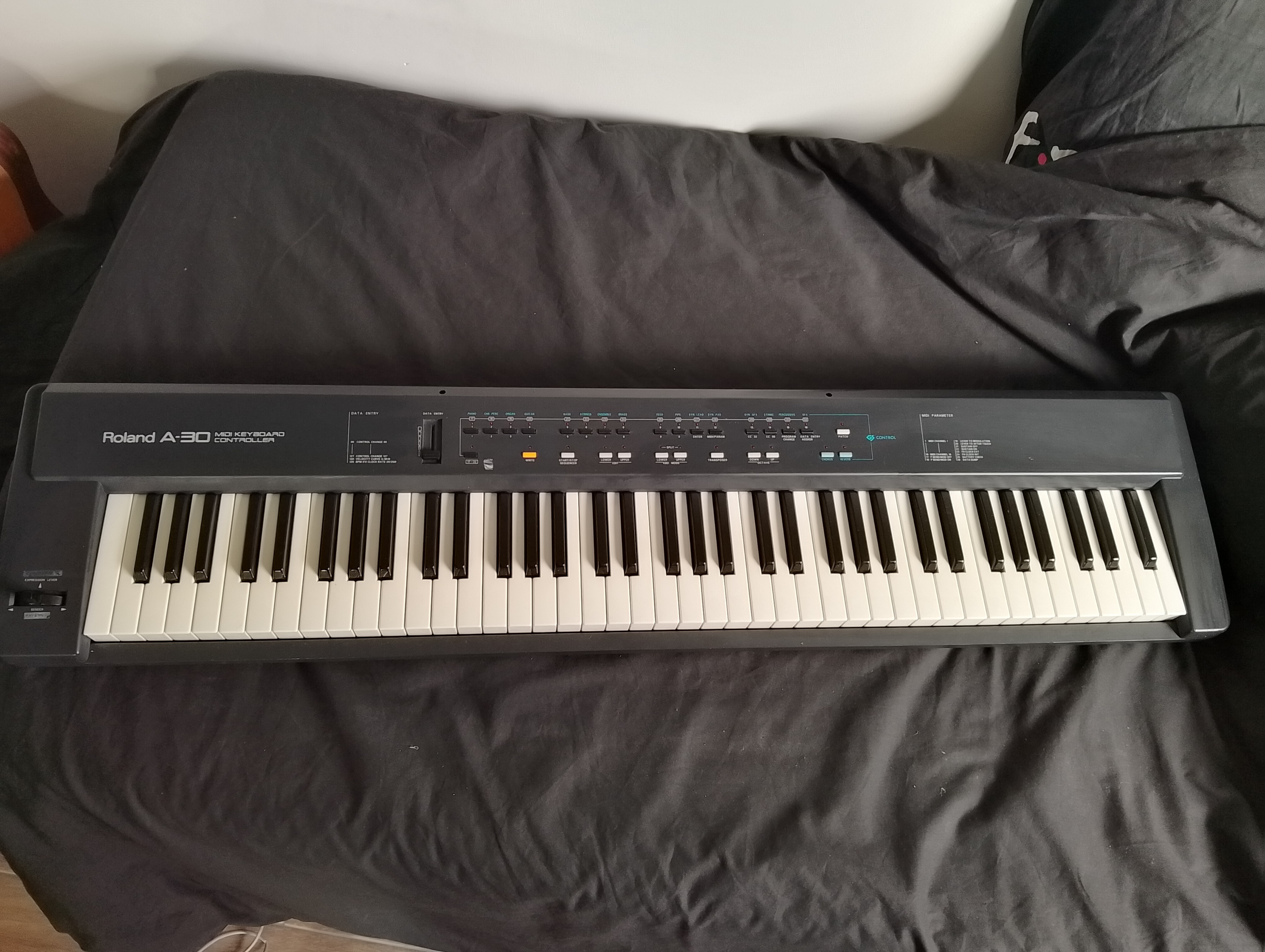 Clavier Midi Roland A-30 à vendre