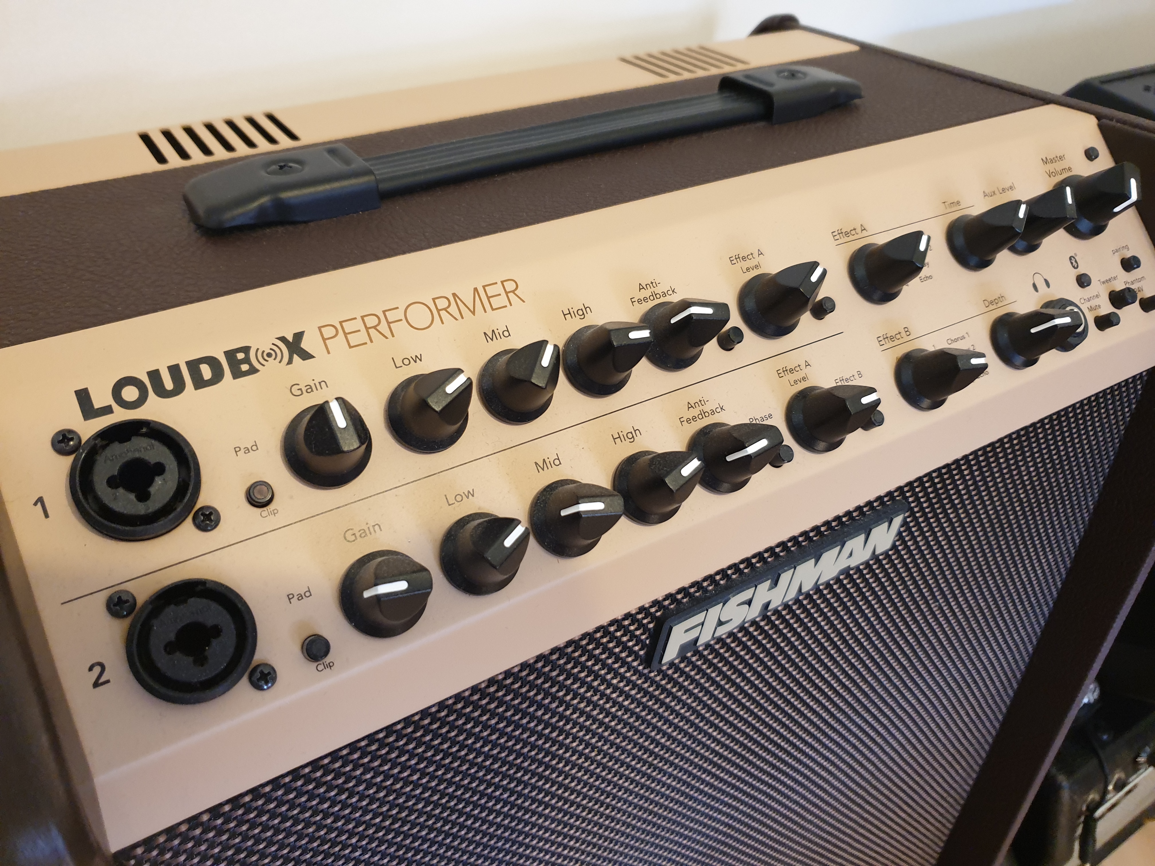 Fishman Loudbox Performer (2019) (5361)