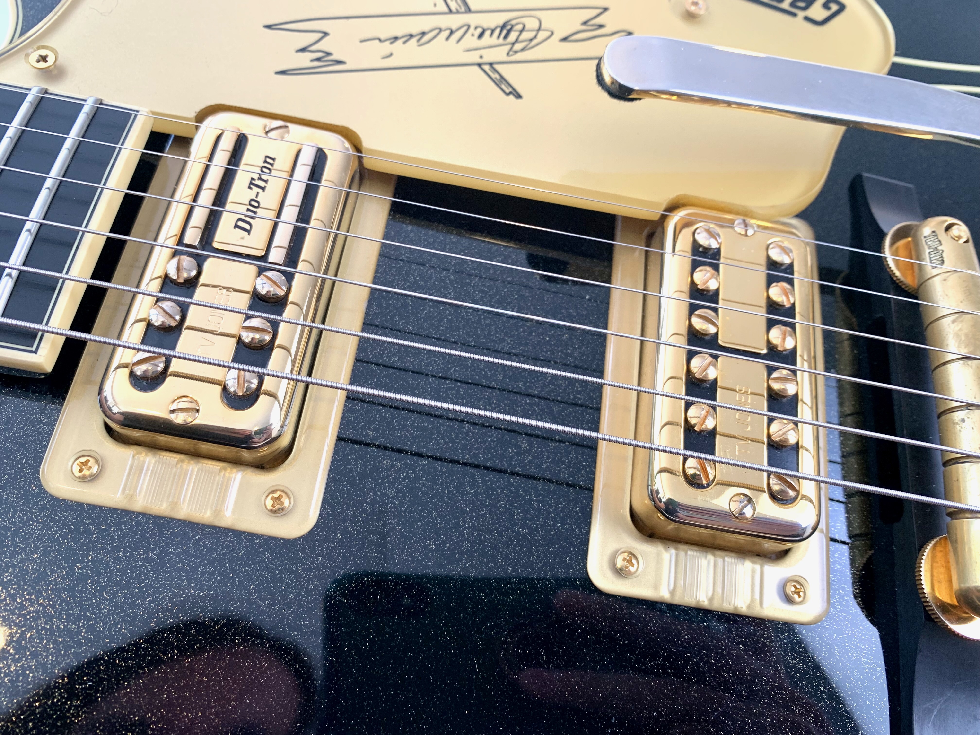 Gretsch G6120T-SW Steve Wariner Signature Nashville Gentleman with Bigsby (12799)