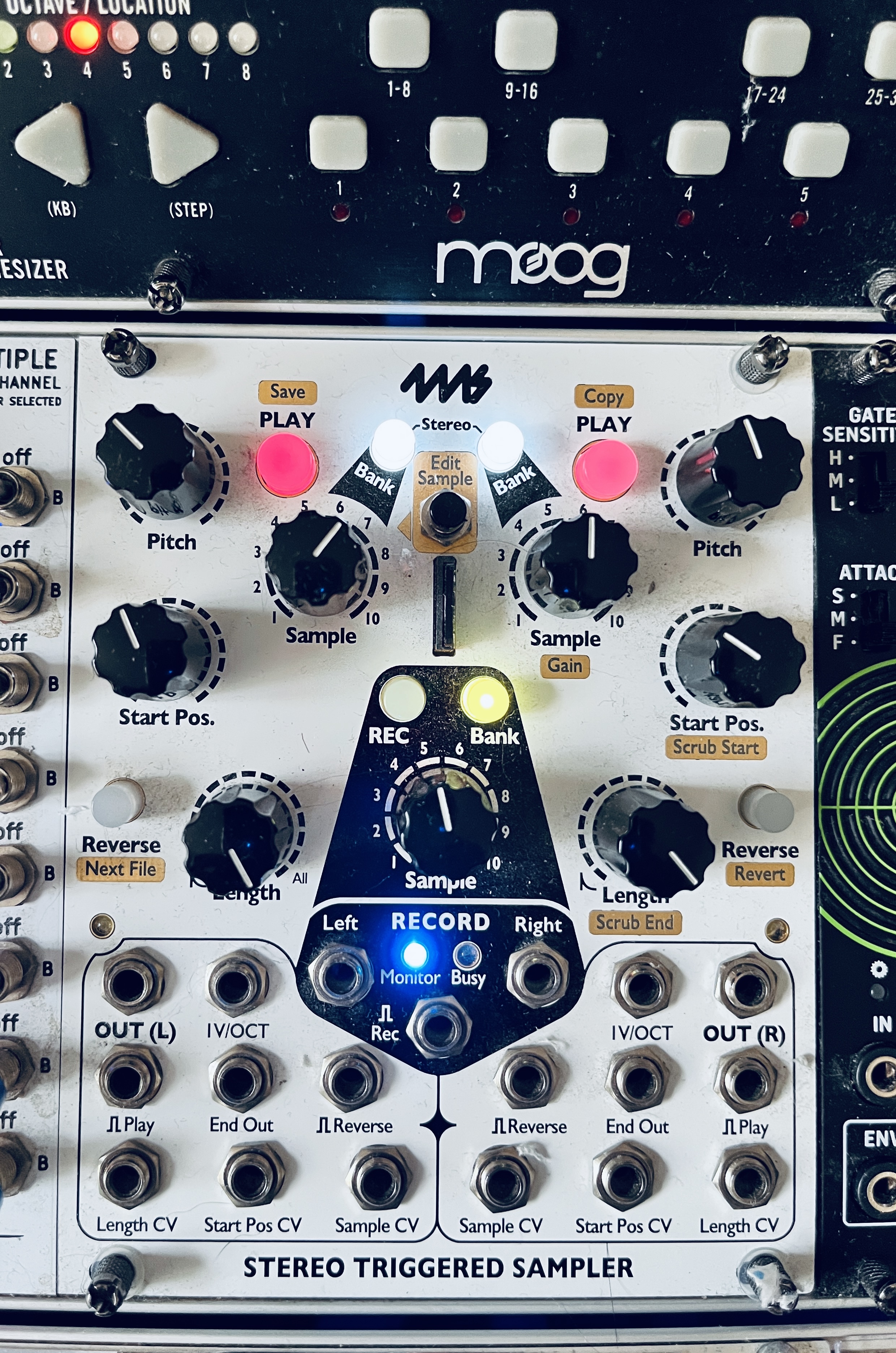 Sampleur eurorack 4MS STS 