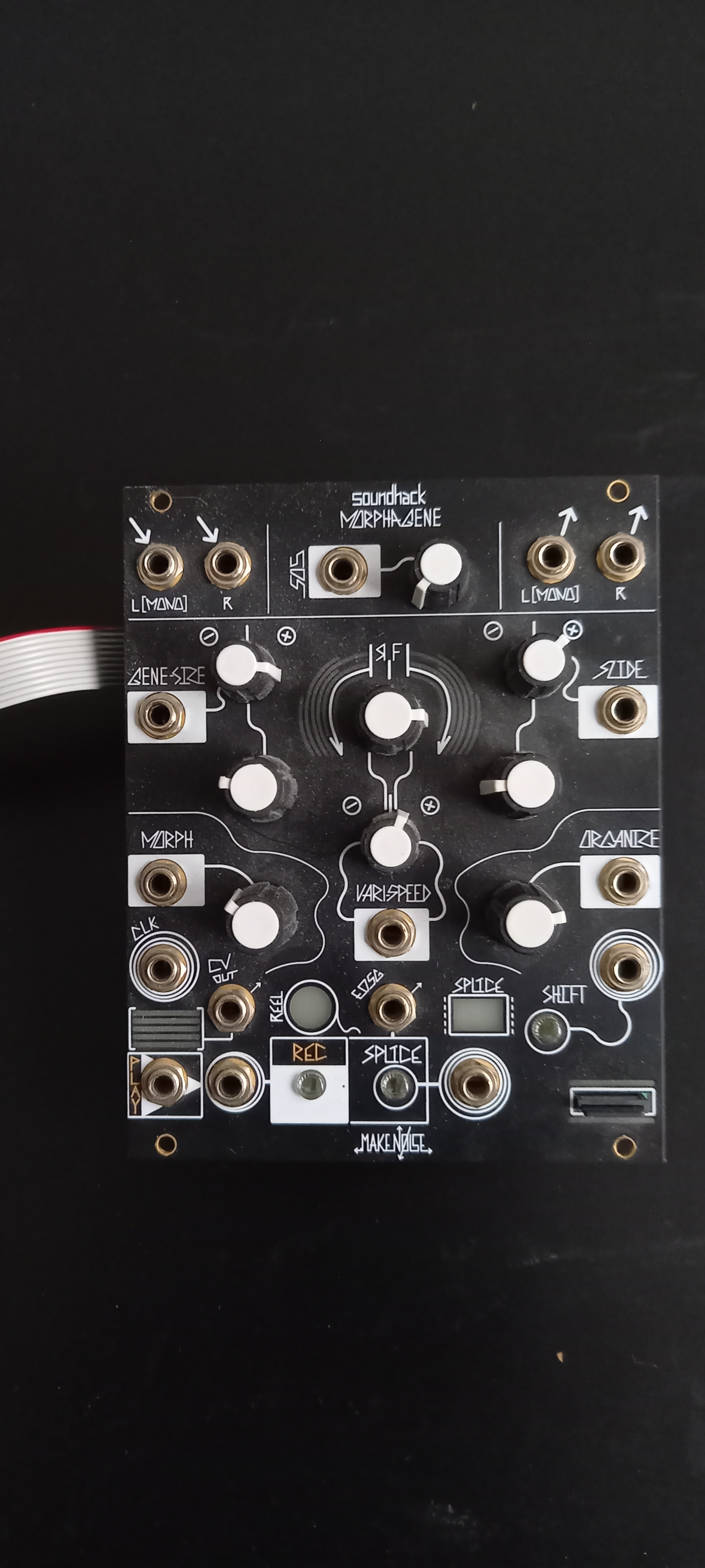 Make Noise Morphagene