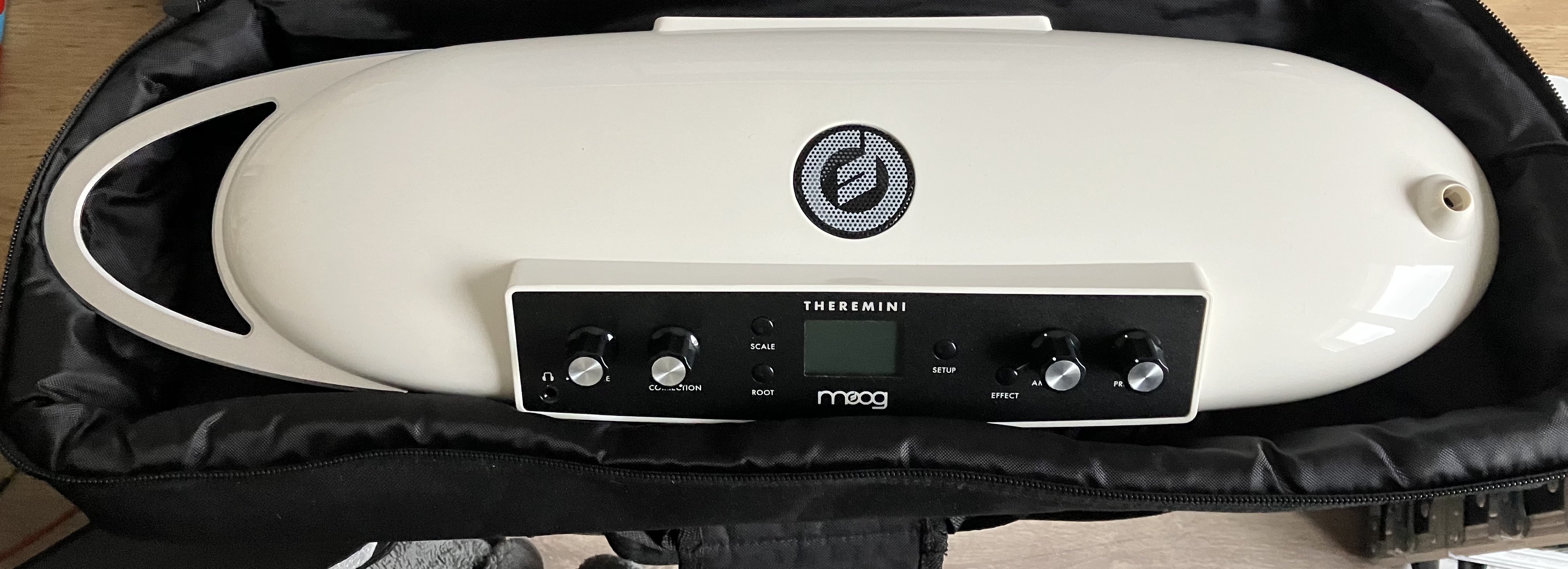 NETTOYAGE DE PRINTEMPS - Moog Theremini en parfait état