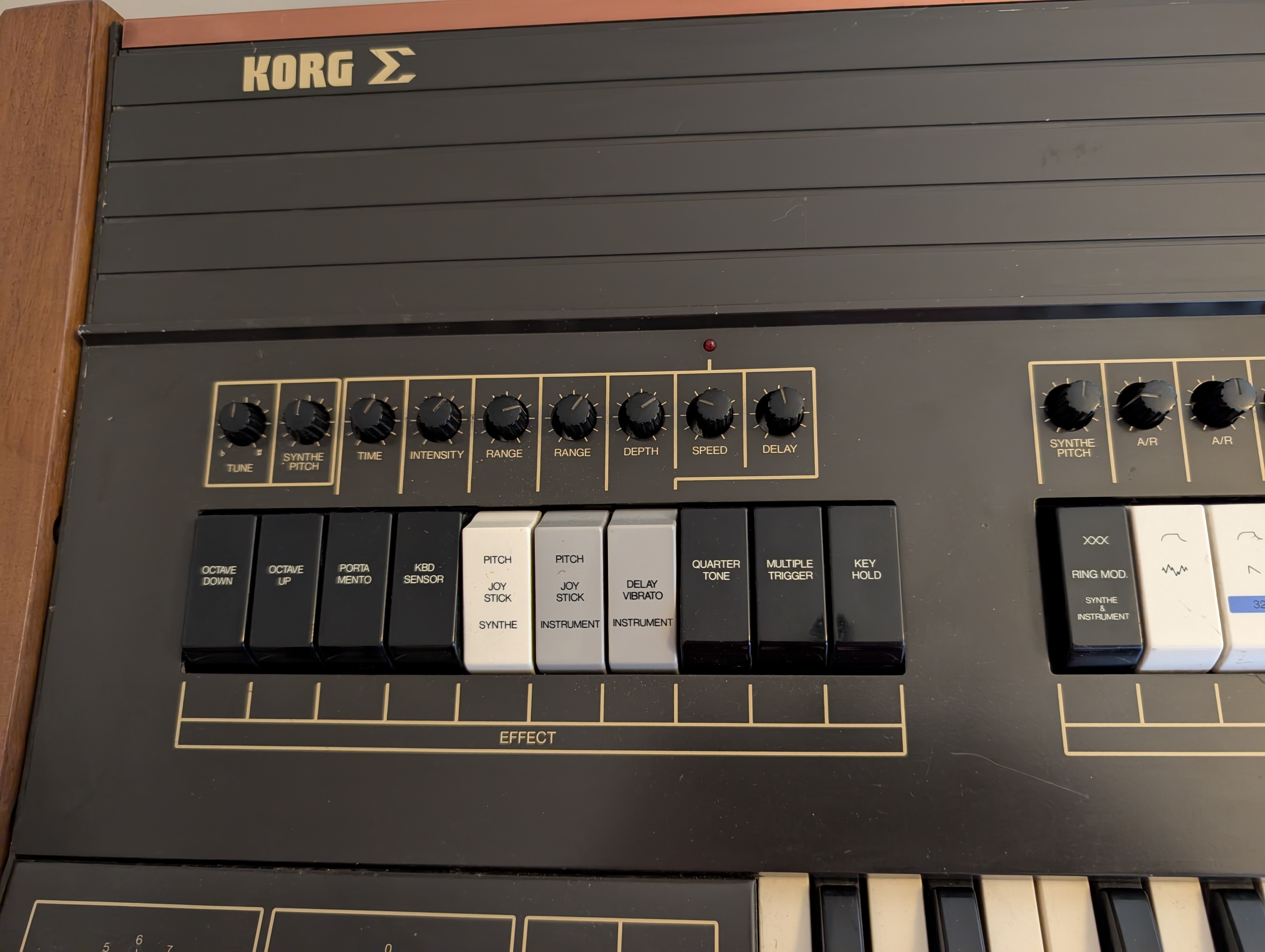 PXL 20251007 121432875