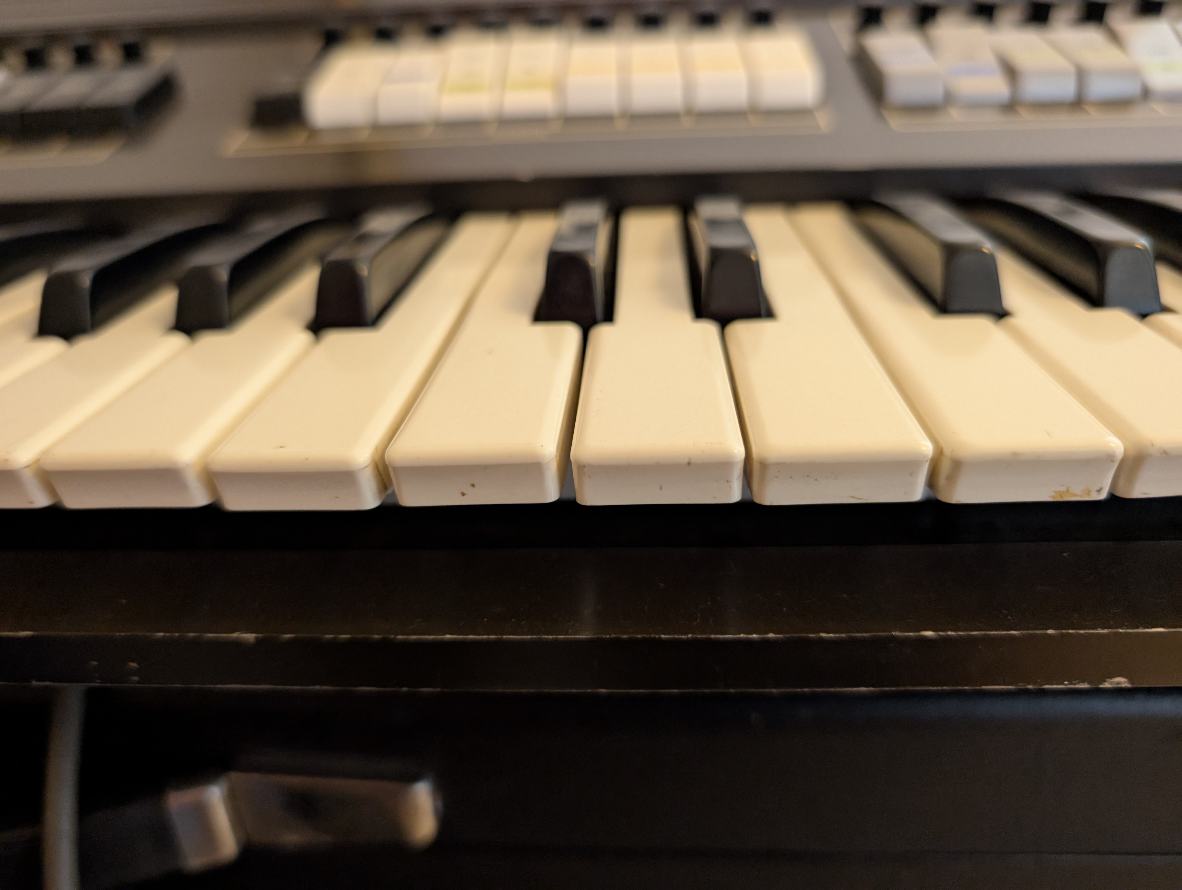 PXL 20251007 121532351