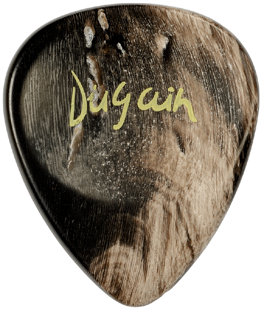 13 - DUGAIN