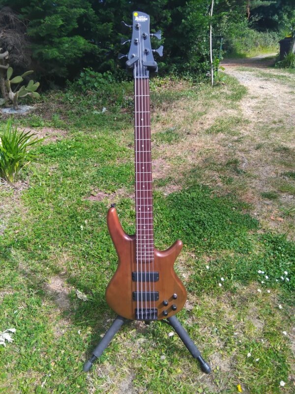 Vends Basse Ibanez 5 cordes GSR205B Neuve