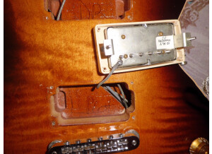 Gibson Les Paul Series - Les Paul Standard 60 (84707)