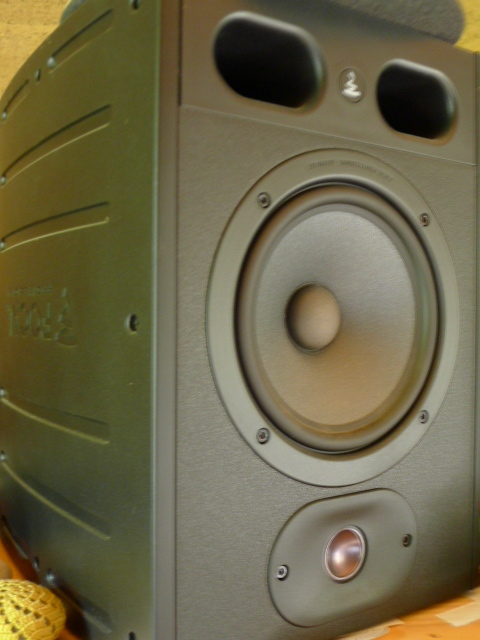 Vends une paire de Focal Alpha 65