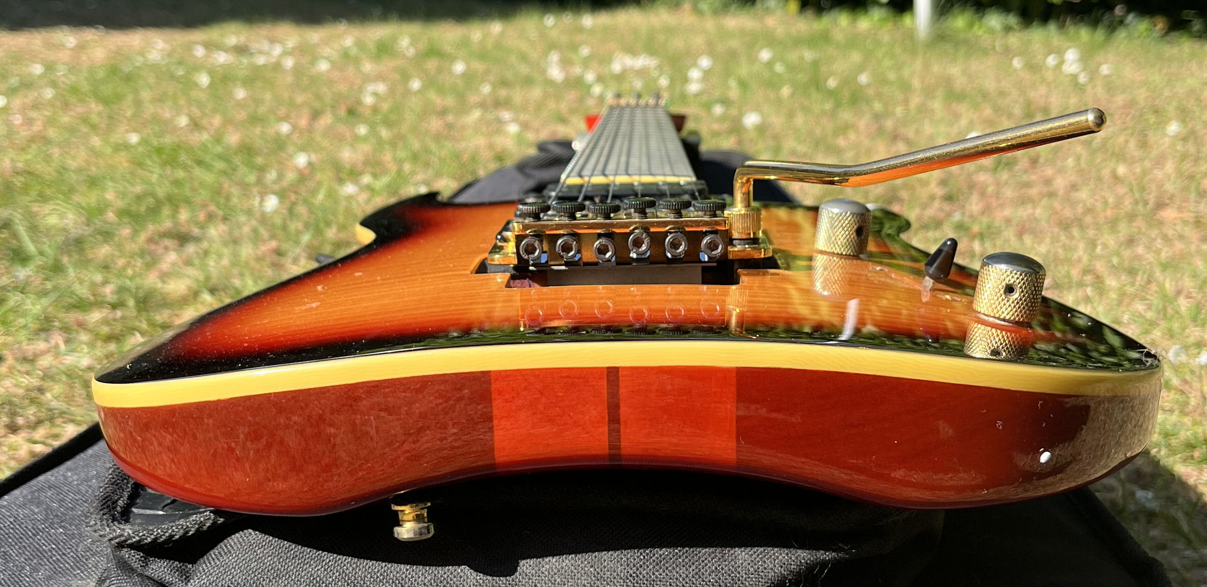Brian Moore i1 (65458)