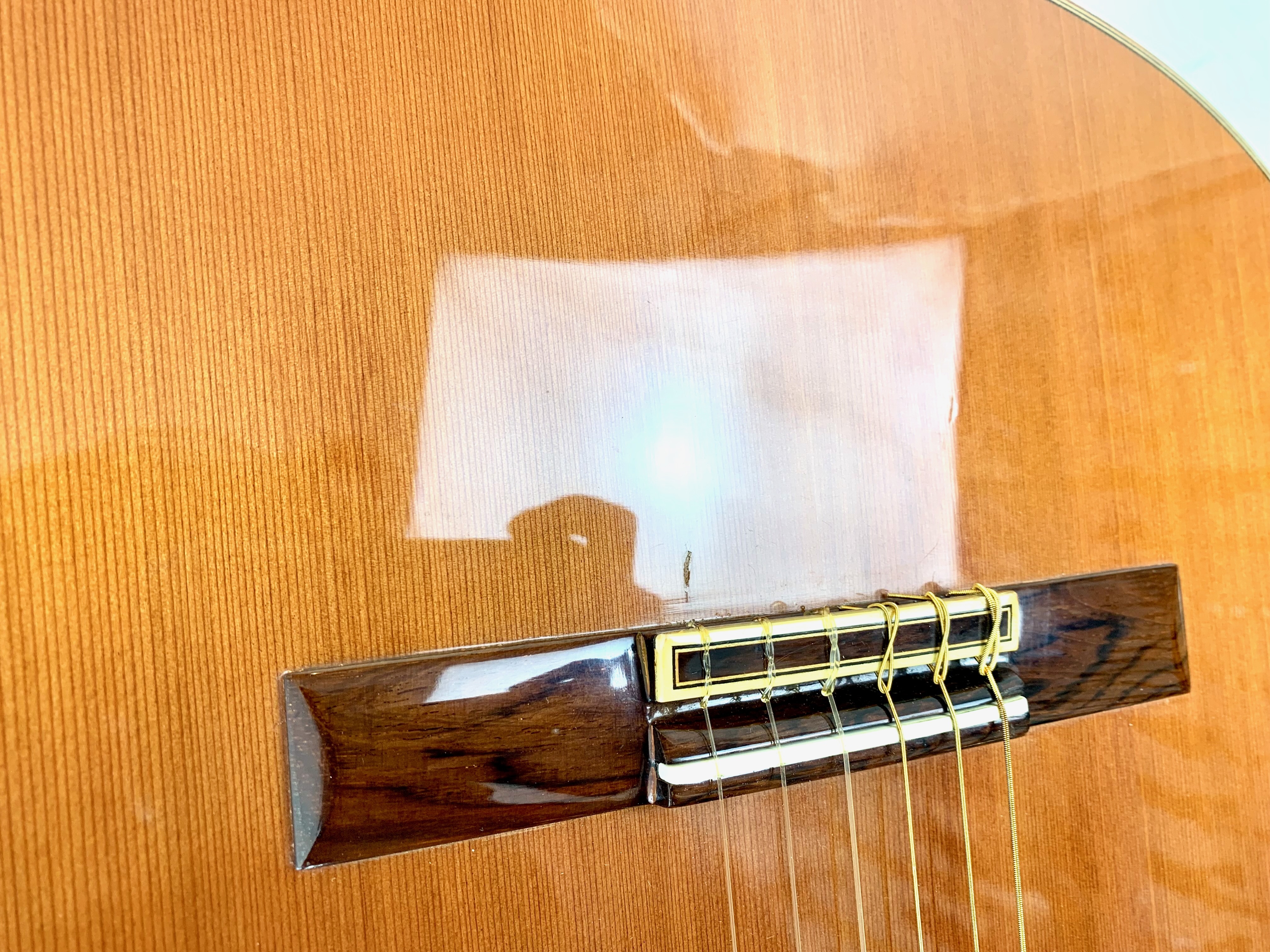 Alhambra Guitars 8 P (99943)