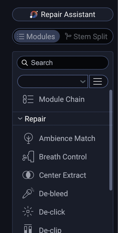 iZotope RX 12 Advanced : modules