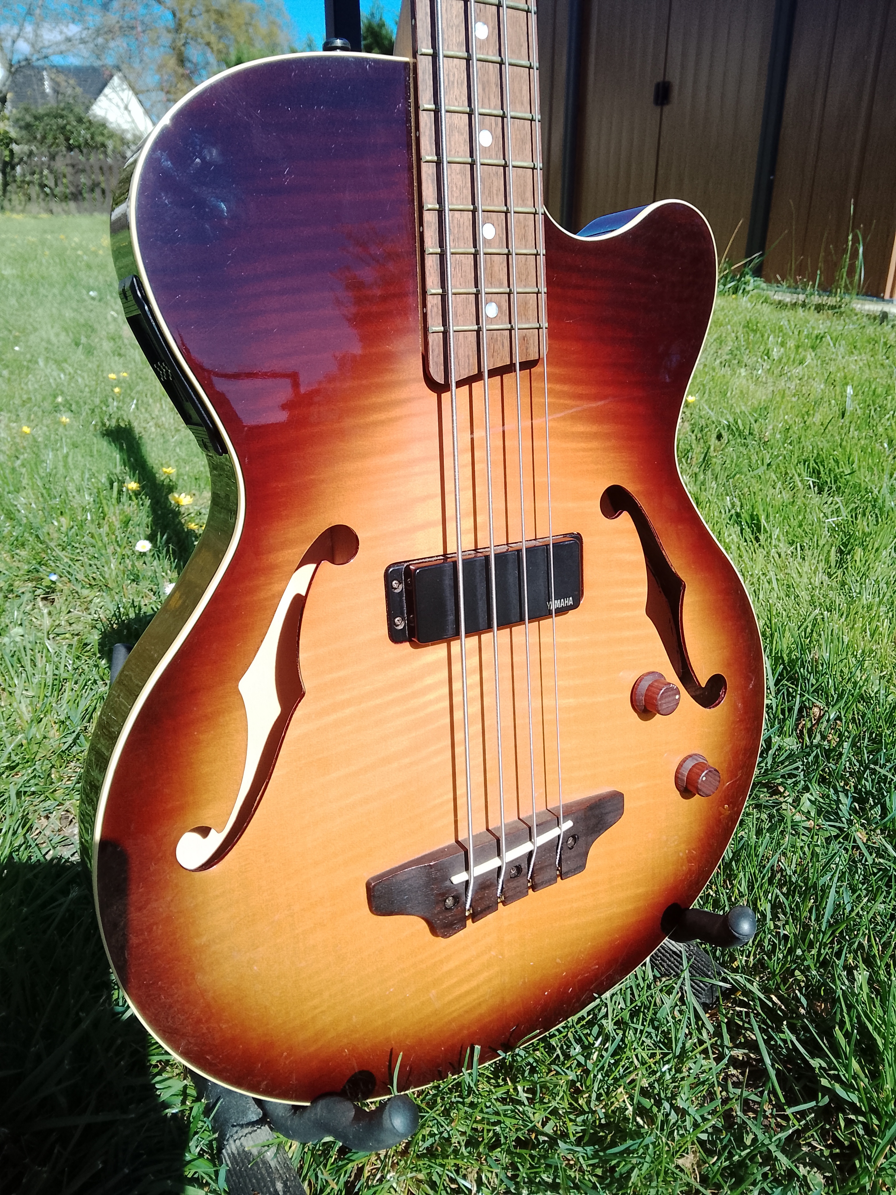 Basse hollow body Yamaha BEX4C